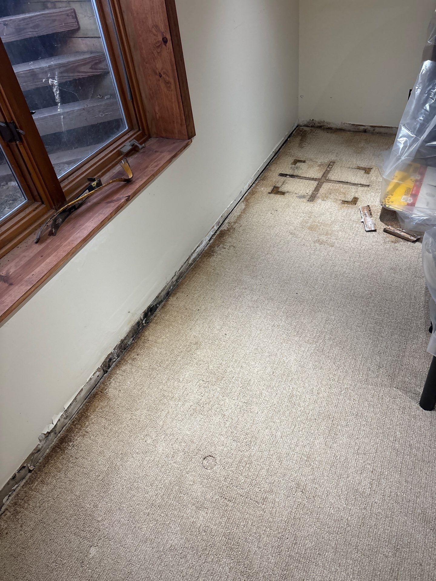 Completing the Connection for Lisa's Drain Tile System by Waterproofing Northeast