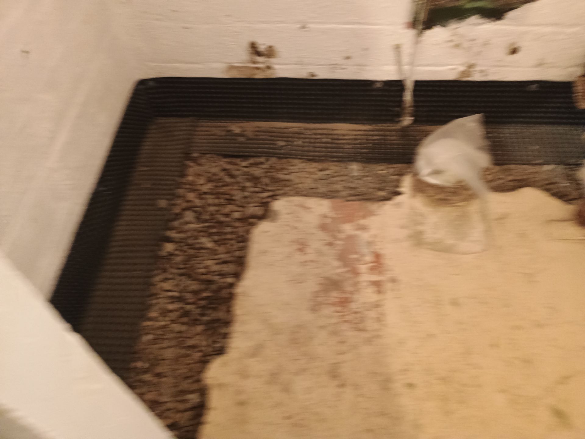 Another Drain Tile Project in the Books by Waterproofing Northeast