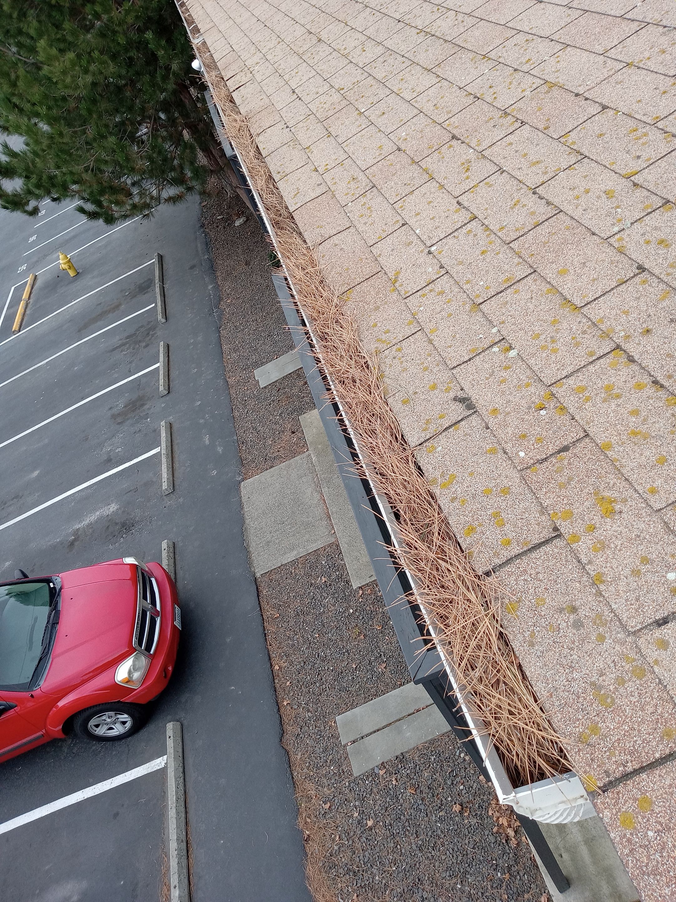 Commercial gutter cleaning Georgia before photo with filled gutters