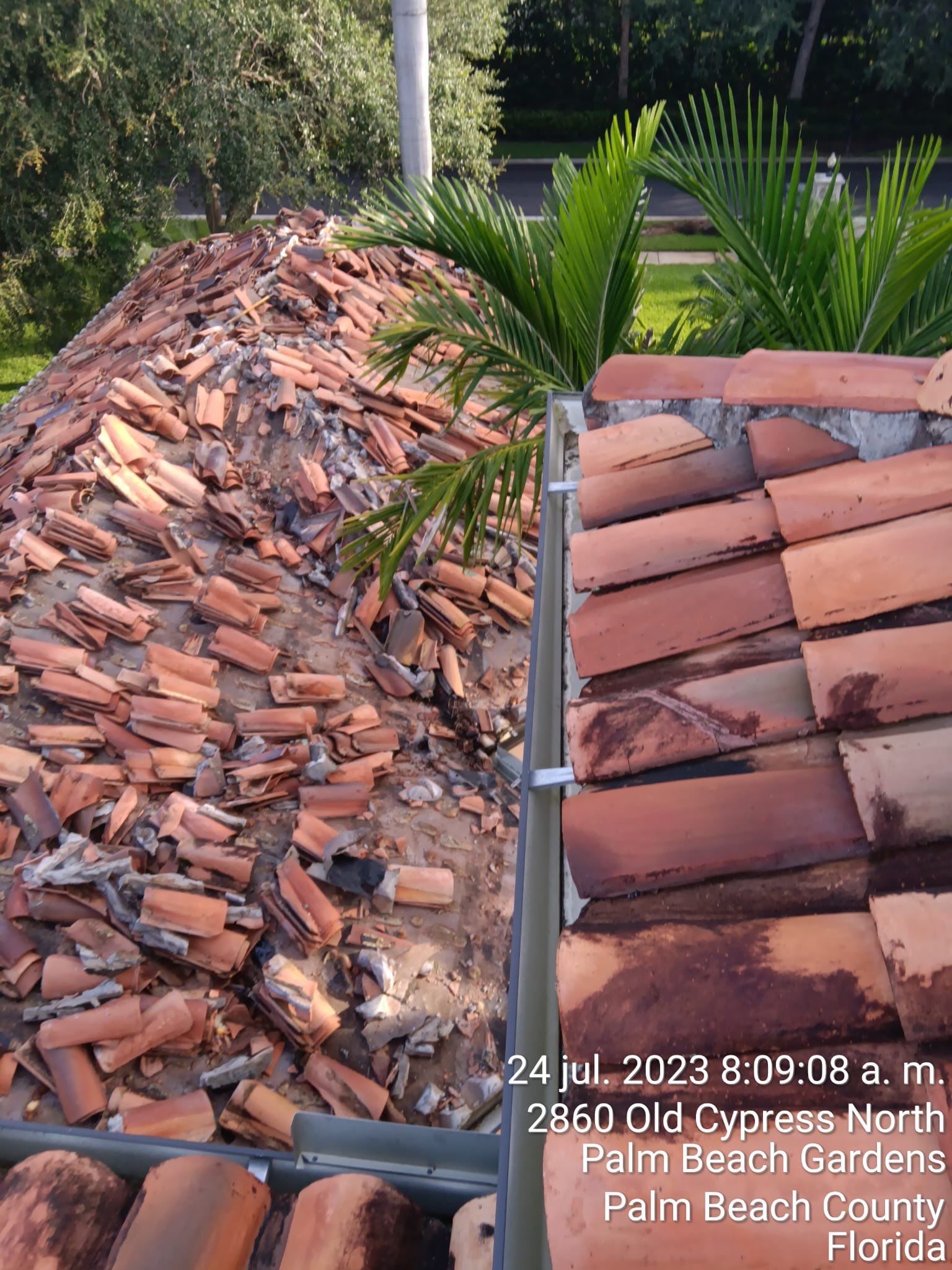 Terracotta Clay Tile by Reimagine Roofing