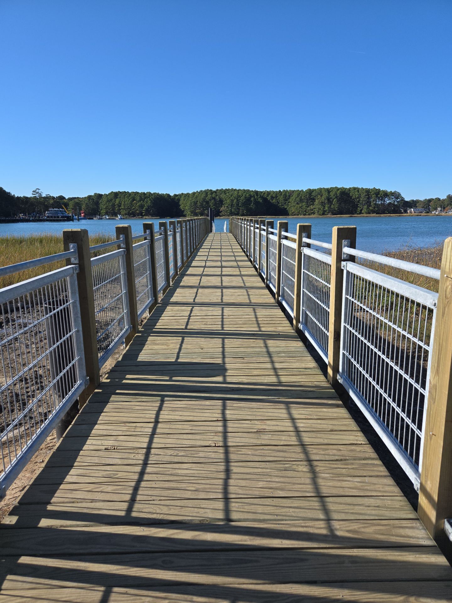 Project in Virginia Beach by Gregory Sandstrom