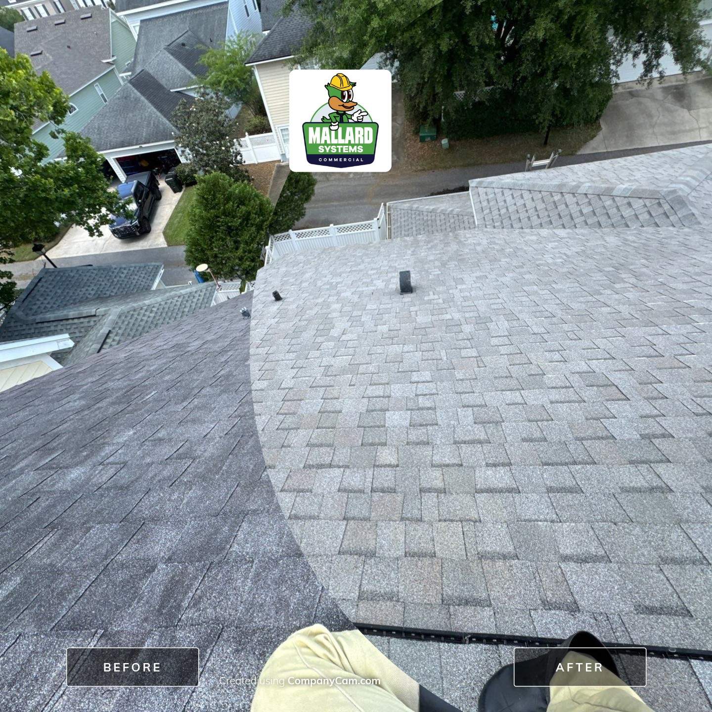 Shingle Roof Cleaning by Mallard Systems