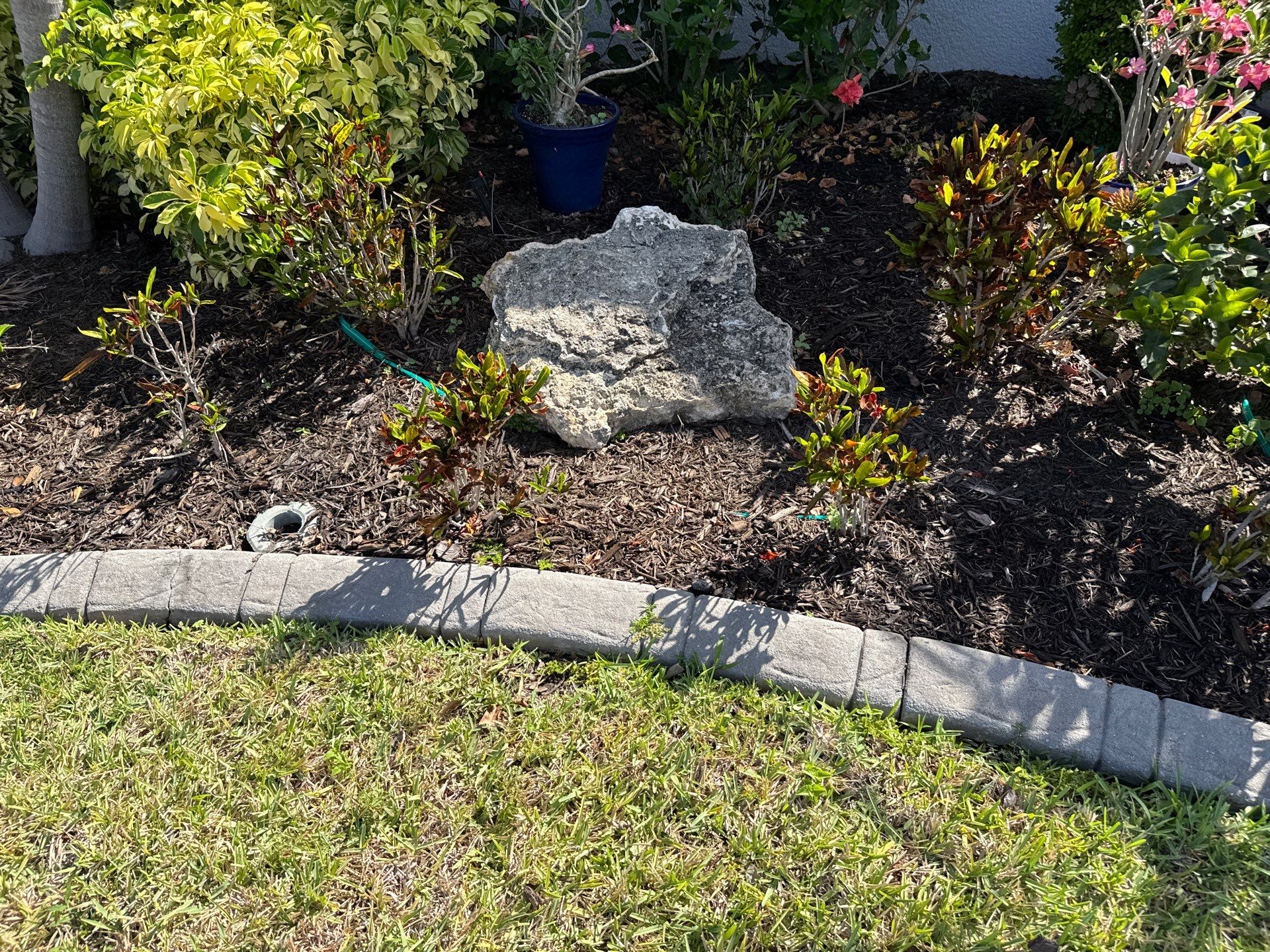 Paver Driveway & Concrete Cleaning | Trevesta Community | Palmetto, FL by Sunshine AquaWash