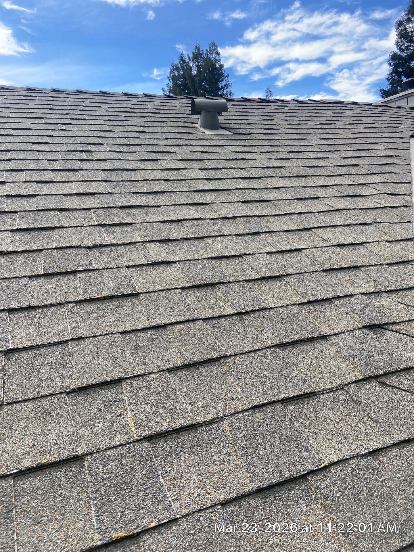 Roof Rejuvenation using Roof Maxx Treatment by Roof Maxx of Folsom