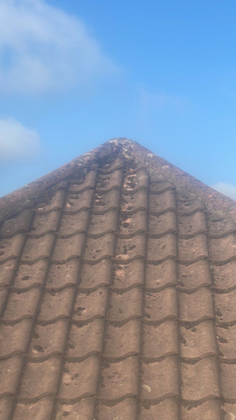 Roof Clean - Biocide Treatment using Honda 15lpm Low Pressure Washing Machine by Ges Exterior Cleaning ltd