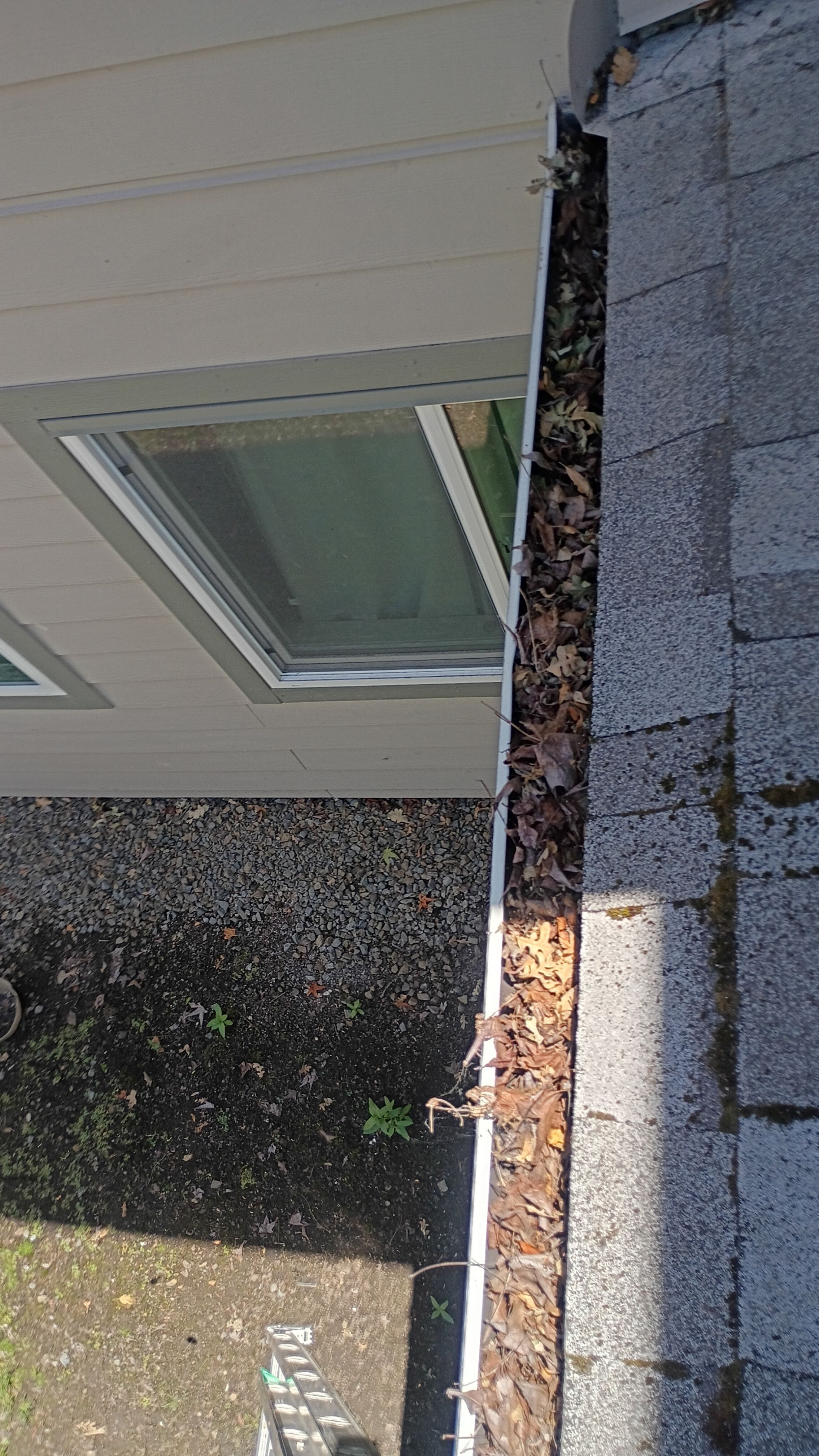 HOA gutter cleaning before photo