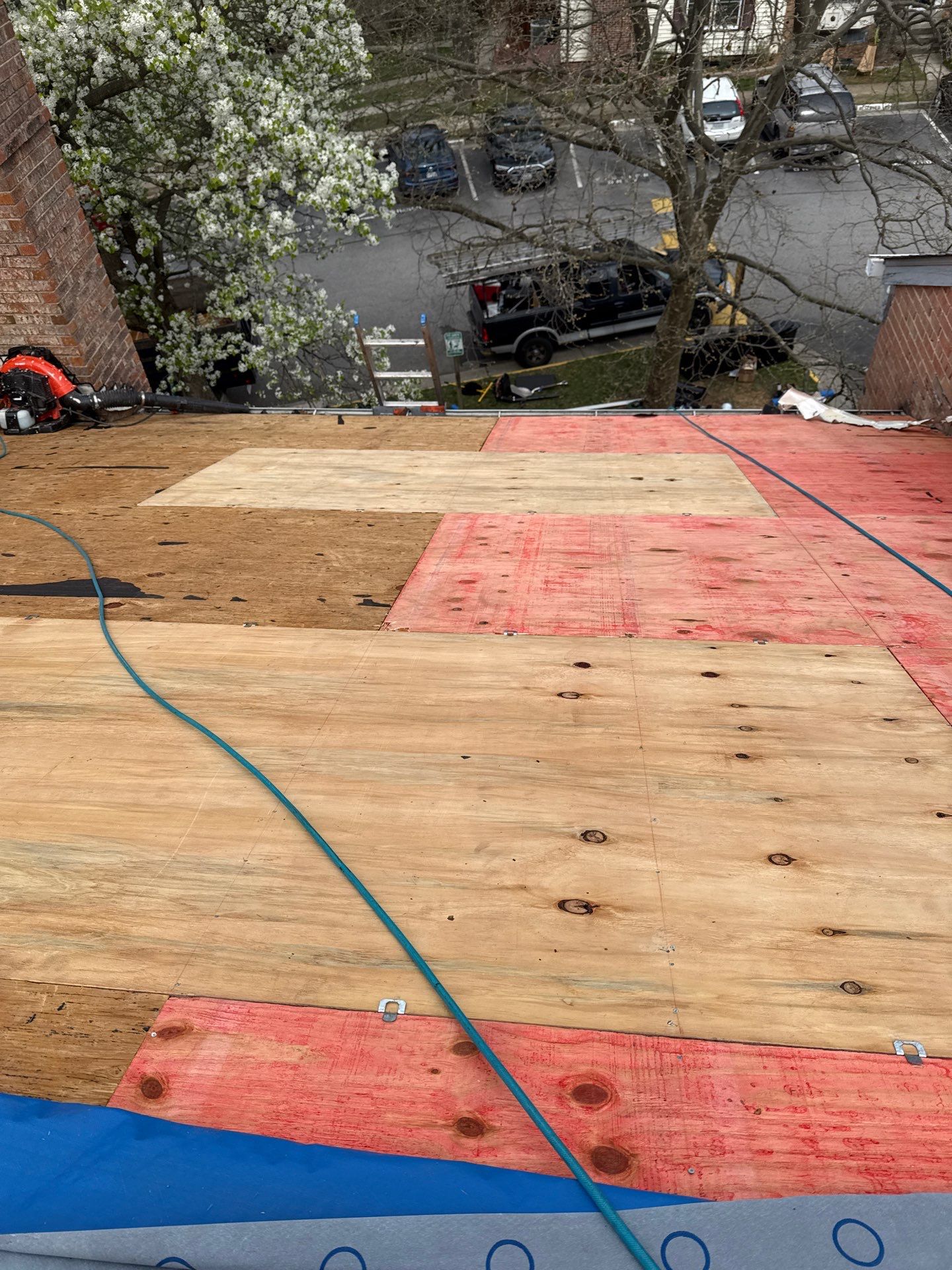 Springfield: Residential Roof Replacement with CertainTeed Landmark Pro in Max Def Red Oak by RM Banning, Inc.