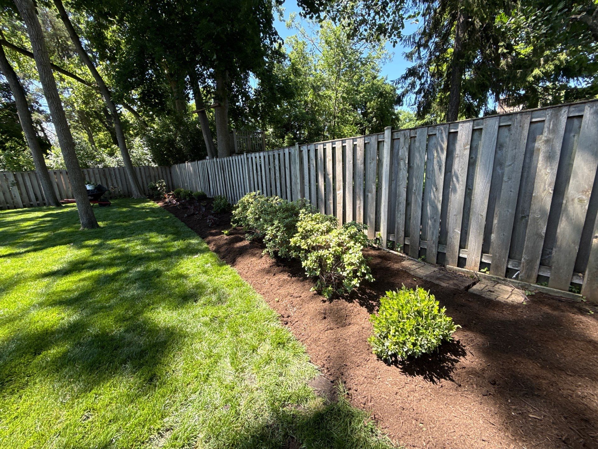 Kevin K. - Deerfield, IL by A&N