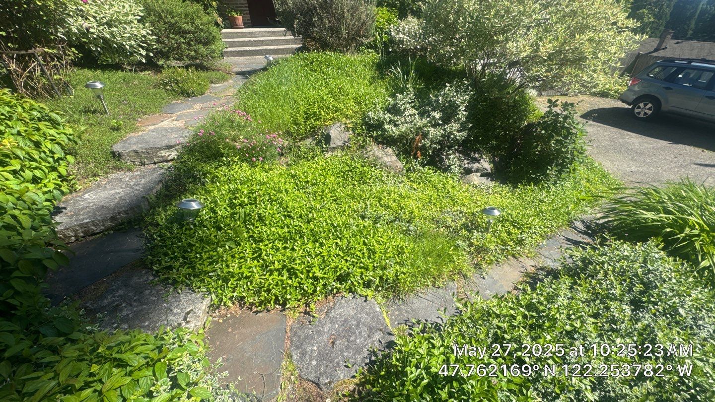 Front Driveway & Stairs Concrete Renovation | Kenmore  by Jireh Asphalt & Concrete Inc 