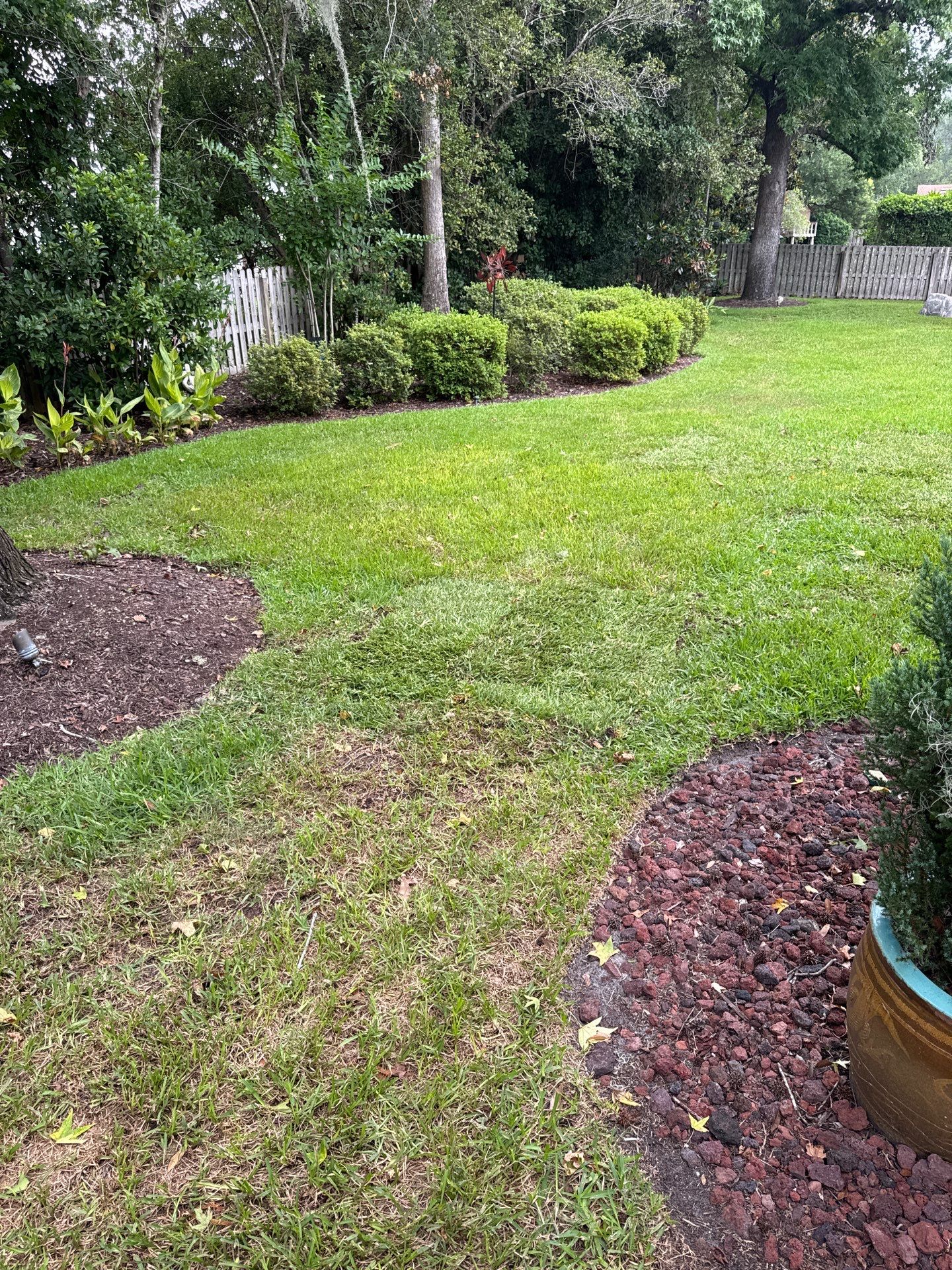 Deerwood Resident | Sod & Plant Installation by ProGreen Services
