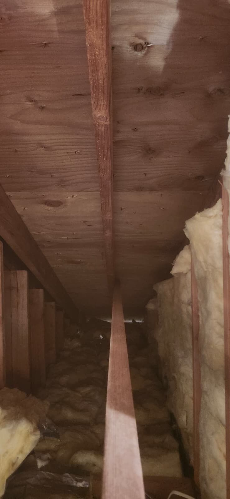 Attic Mold Remediation in Montville, NJ by Pure Service Pro, LLC