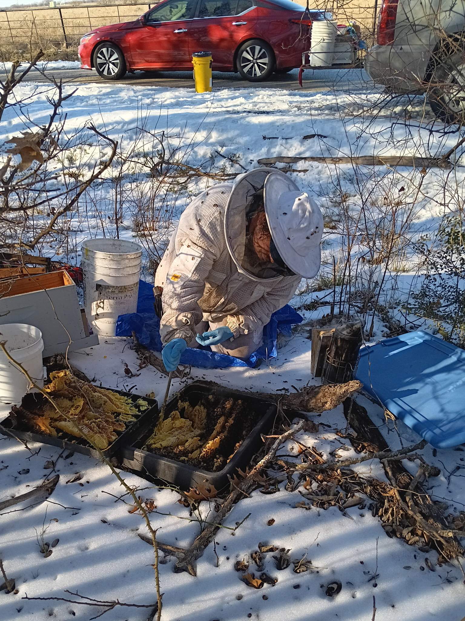 Winter Freeze Bees by Rockwall Honey Bee Company