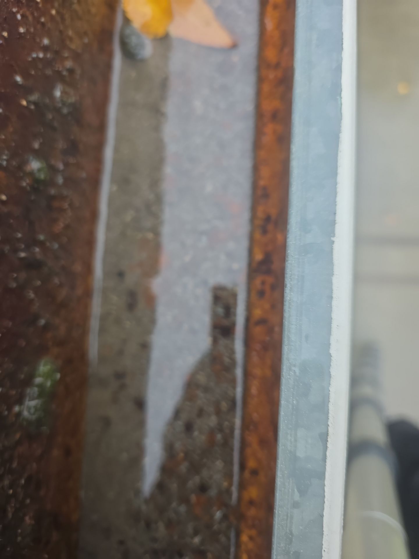 Roof Rejuvenation using Roof Maxx Treatment by Roof Maxx of Folsom