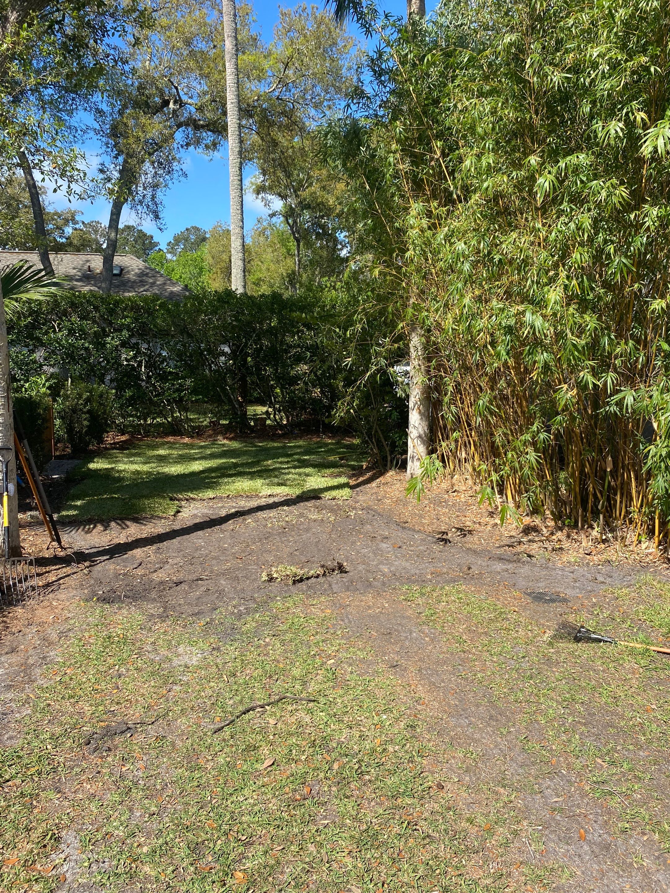 Residential | Sod Installation by ProGreen Services