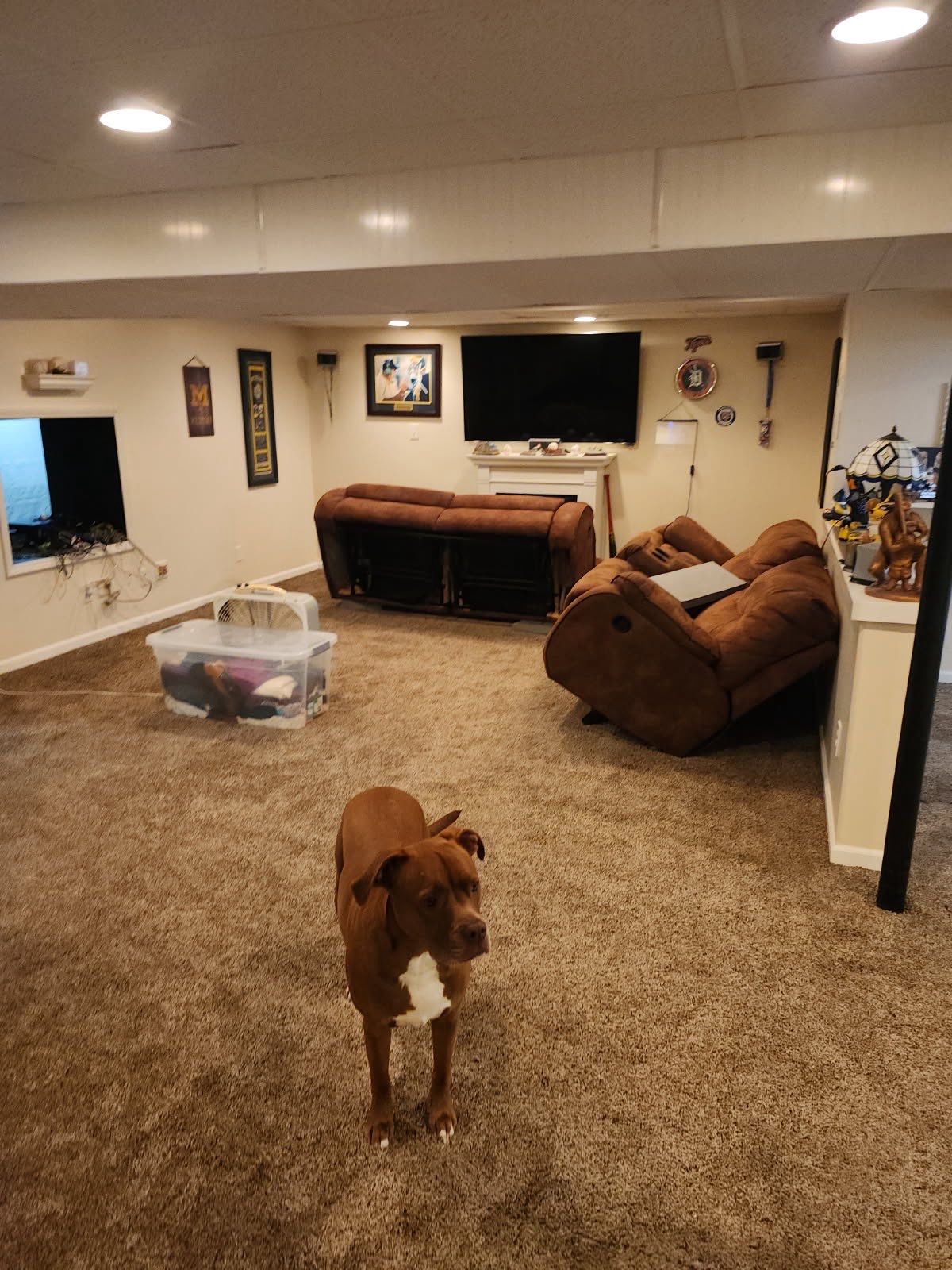 Project in Chesterfield by EzDry Water Mitigation & Property Restoration