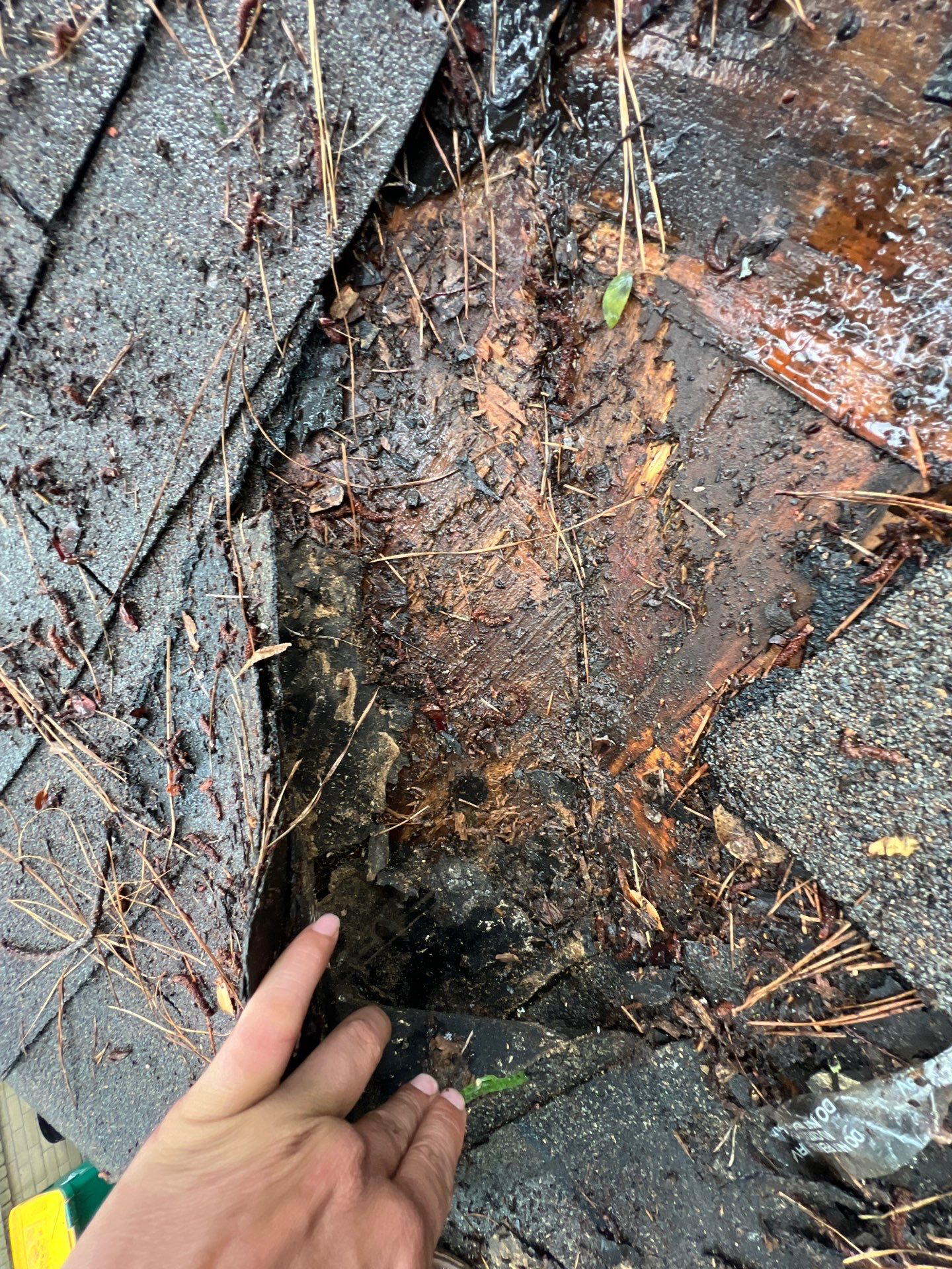 Roof Repair Spring by Roof Repair Company
