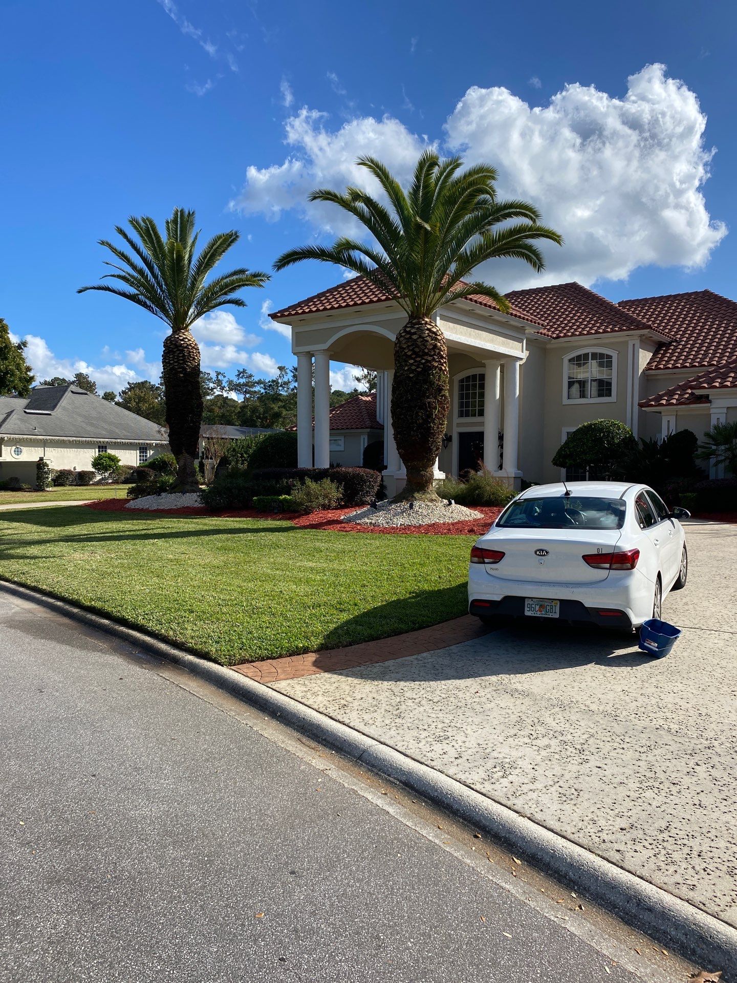 Deerwood Resident | Palm Trimming & Ground Cover by ProGreen Services