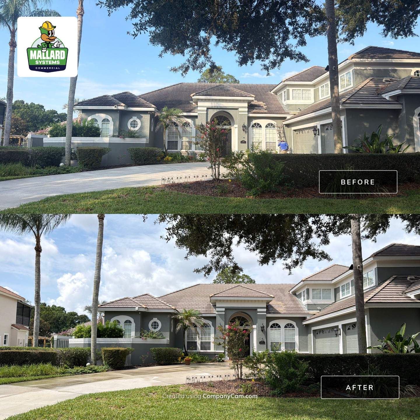 Professional Tile Roof Cleaning in Dr. Phillips by Mallard Systems