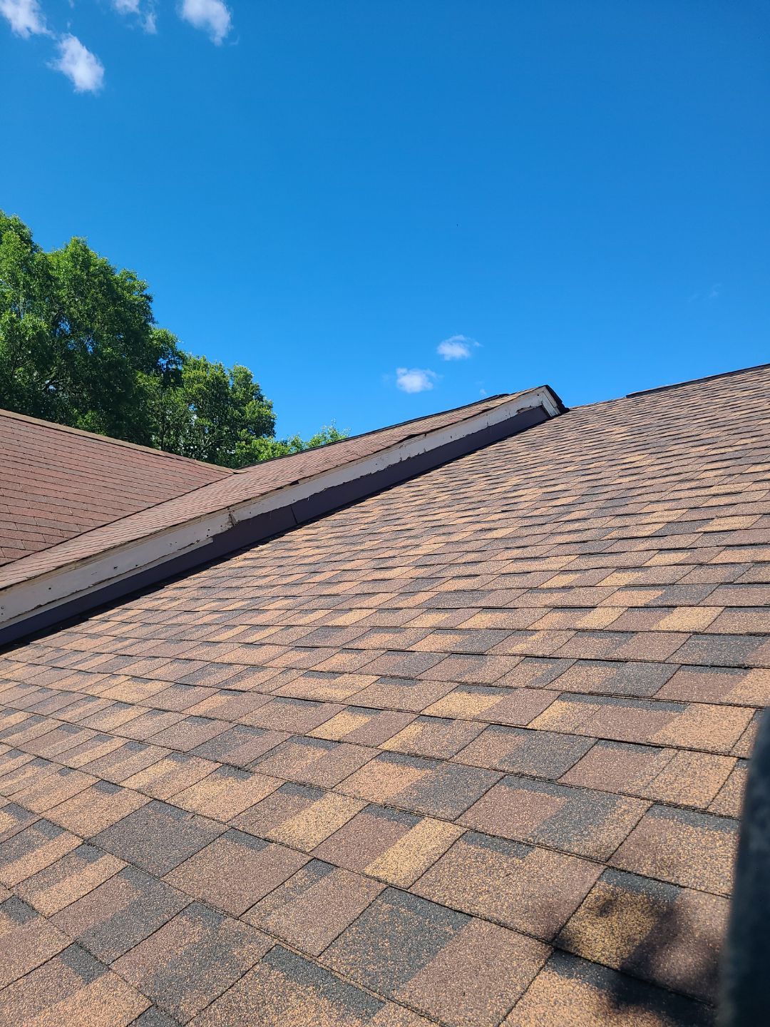 Alexandria: Roof Replacement with CertainTeed Landmark Pro in Max Def Burnt Sienna by RM Banning, Inc.