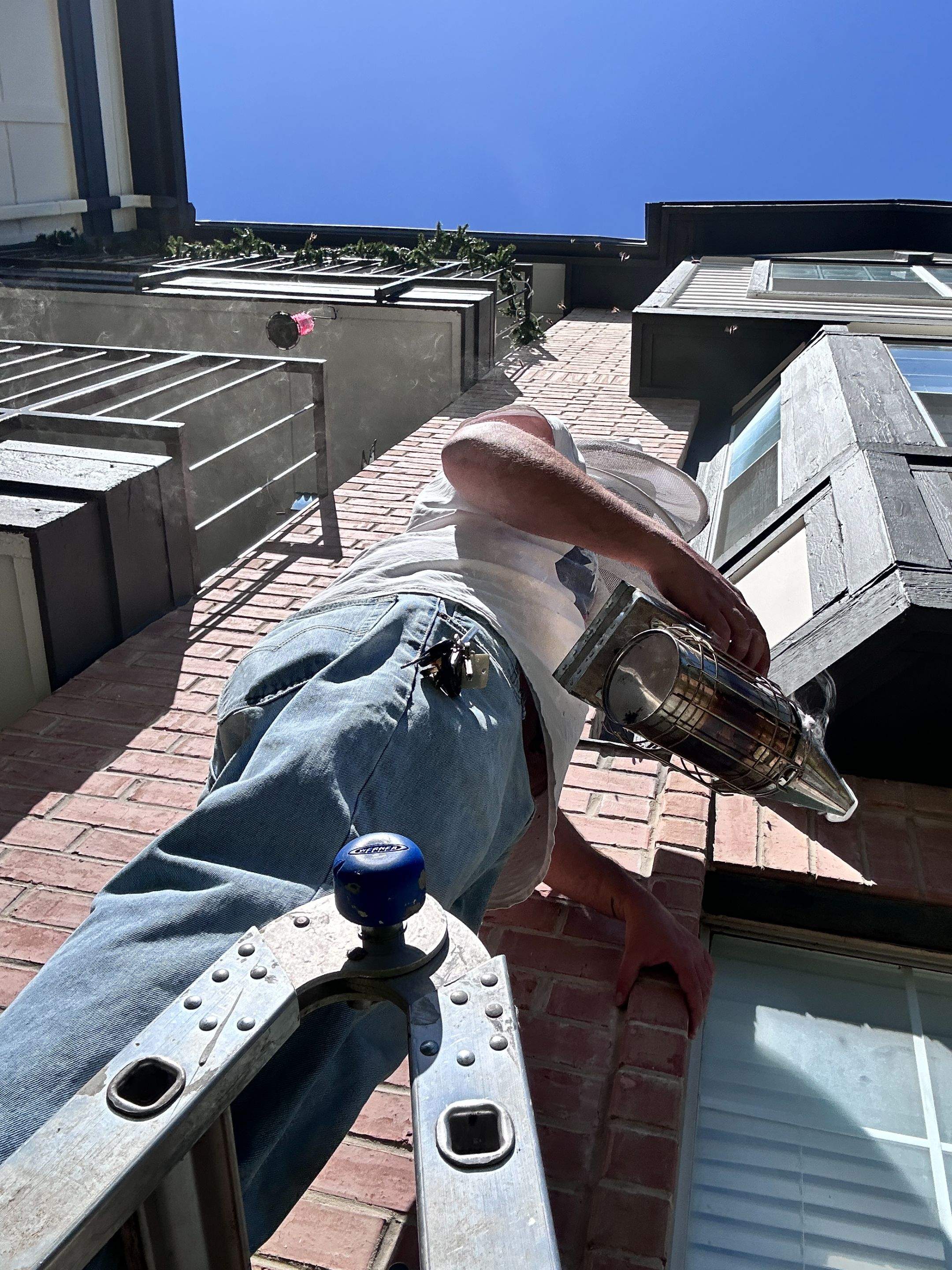 Another Greatful Tenant by Rockwall Honey Bee Company