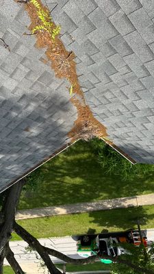 Turtle Shell gutter protection installation in Naperville, IL 60563, photograph 14
