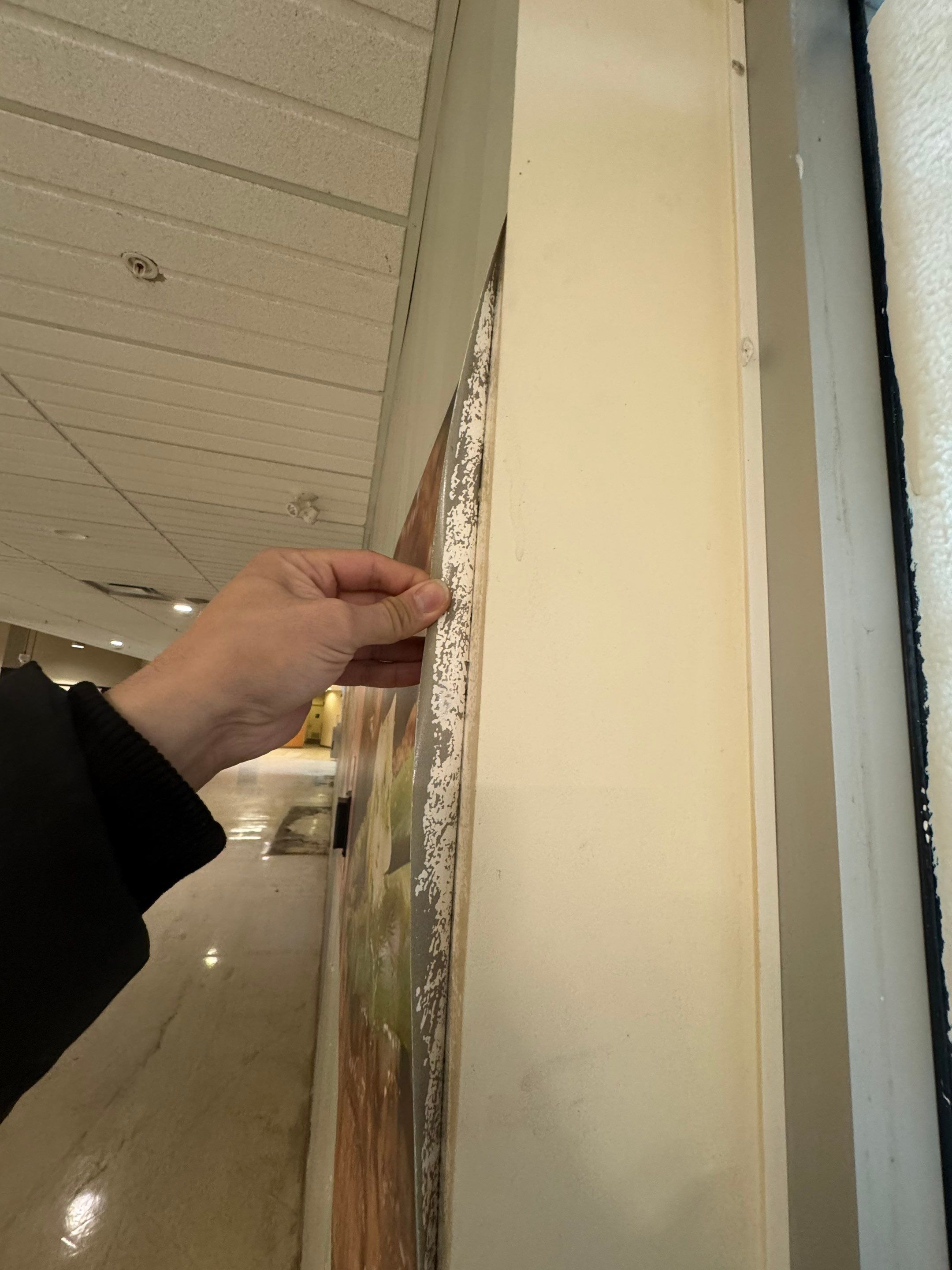 Commercial Prime & Paint Project by YVR Construction Group