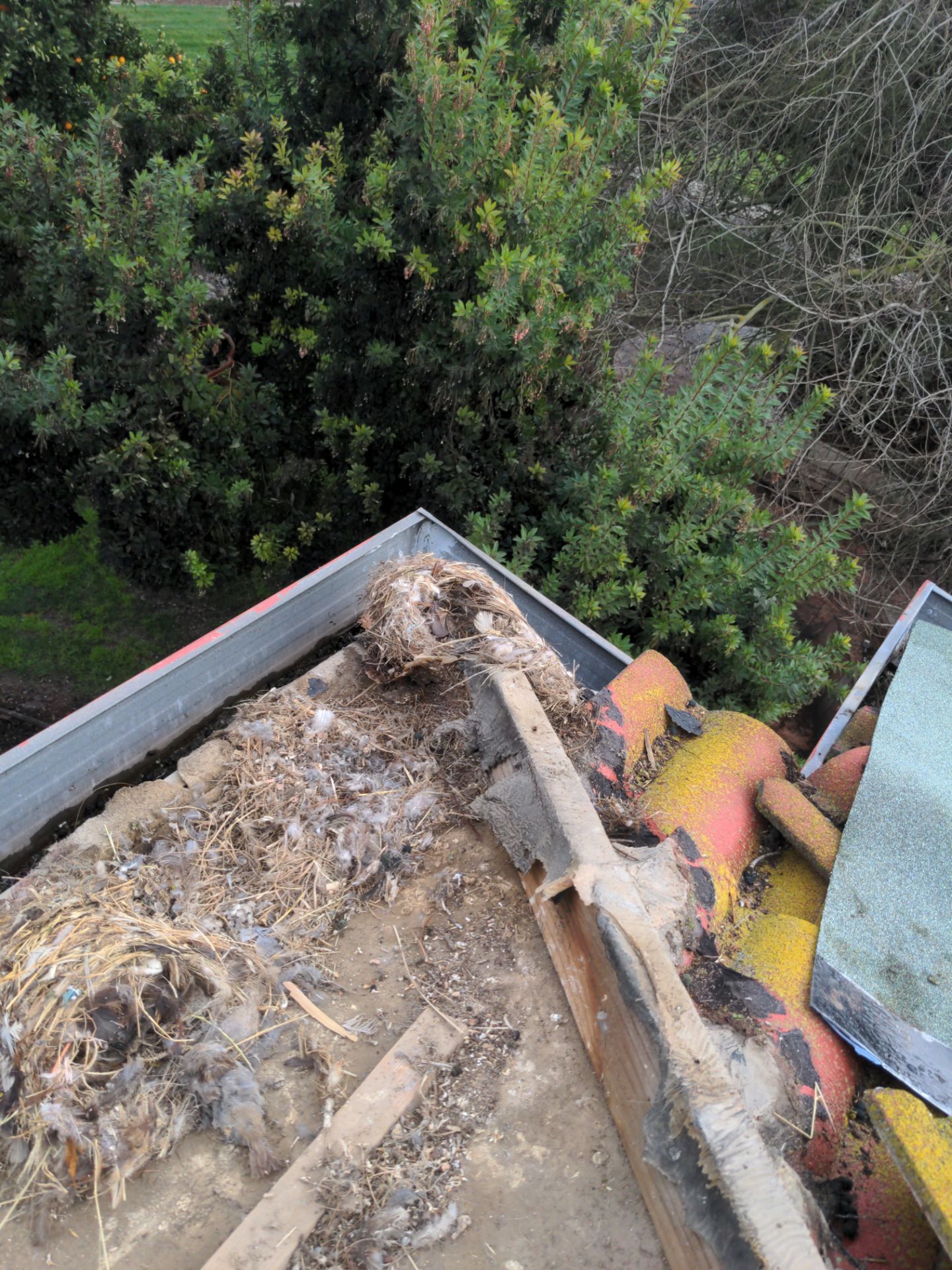 Tile refurbish project using existing tiles and replaced underlayment and battens by Straight Edge Roofing Inc