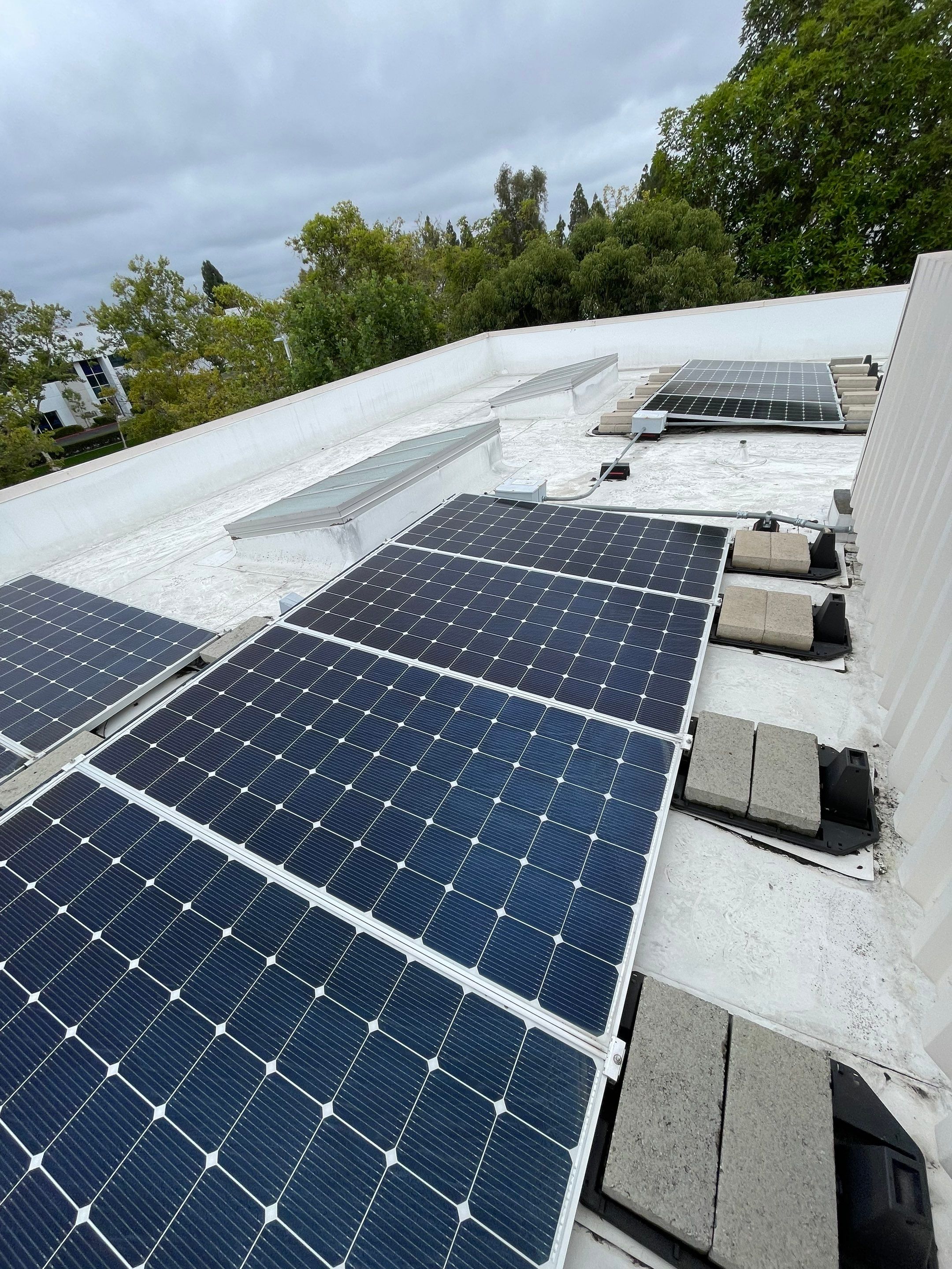 Commercial Solar Cleaning by Palm Coast Solar Cleaning