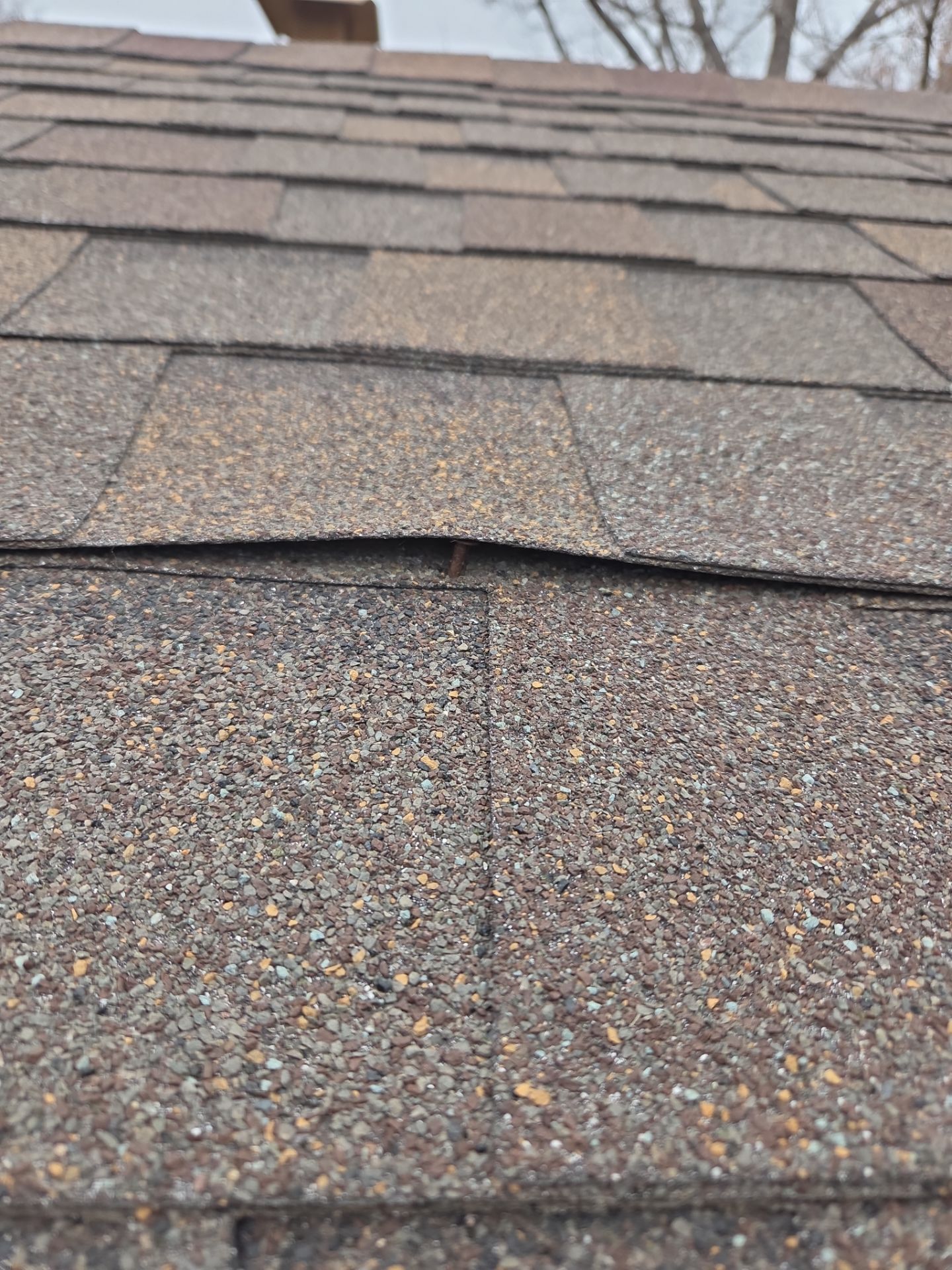 Roof Maintenance by RTP Roofing Company