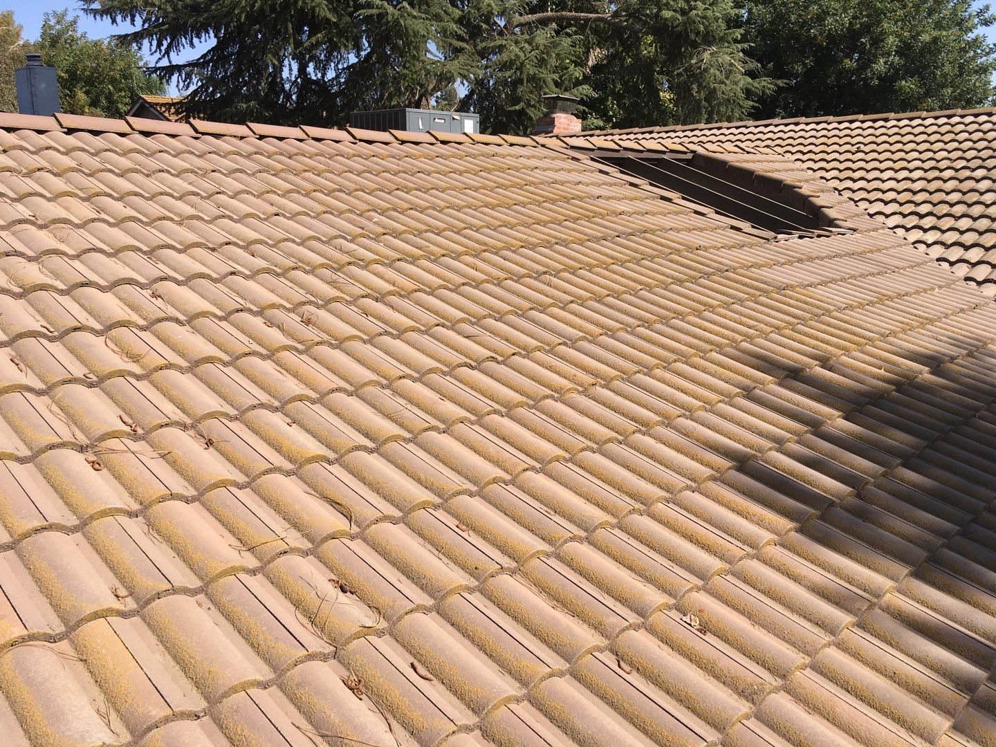 Tile roof remodel/ install OSB sheathing under tile and replace using OSB board with new underlayment, tile, and battens by Straight Edge Roofing Inc