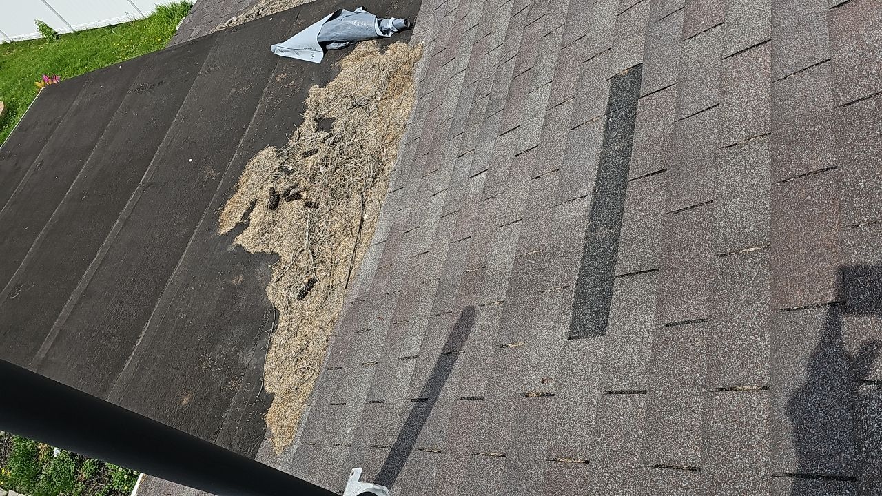 ATLAS PINNACLE COLOR: MORNING HARVEST by Eagle Eye Roofing