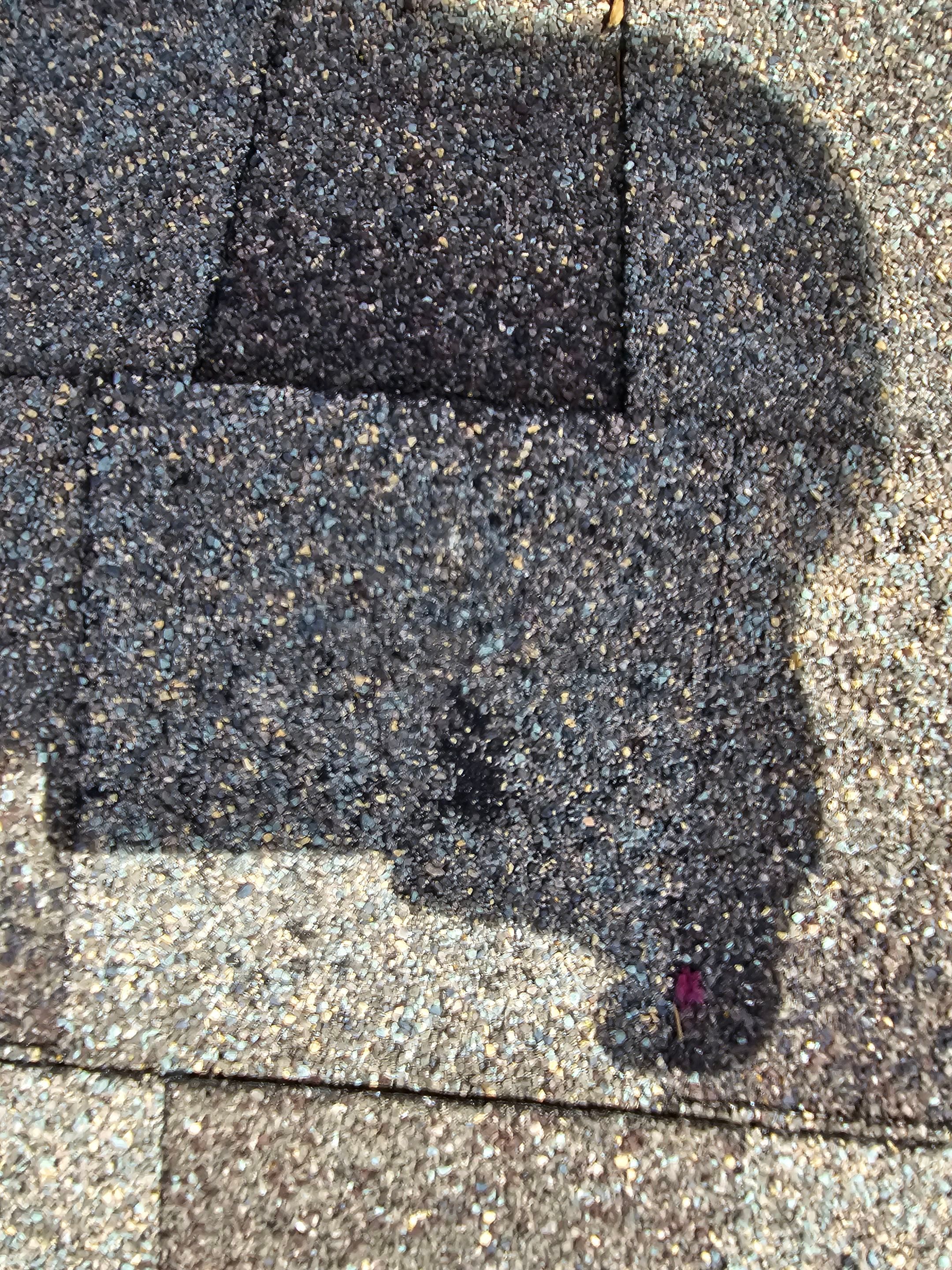 Project in Garland by EL-GC LLC 