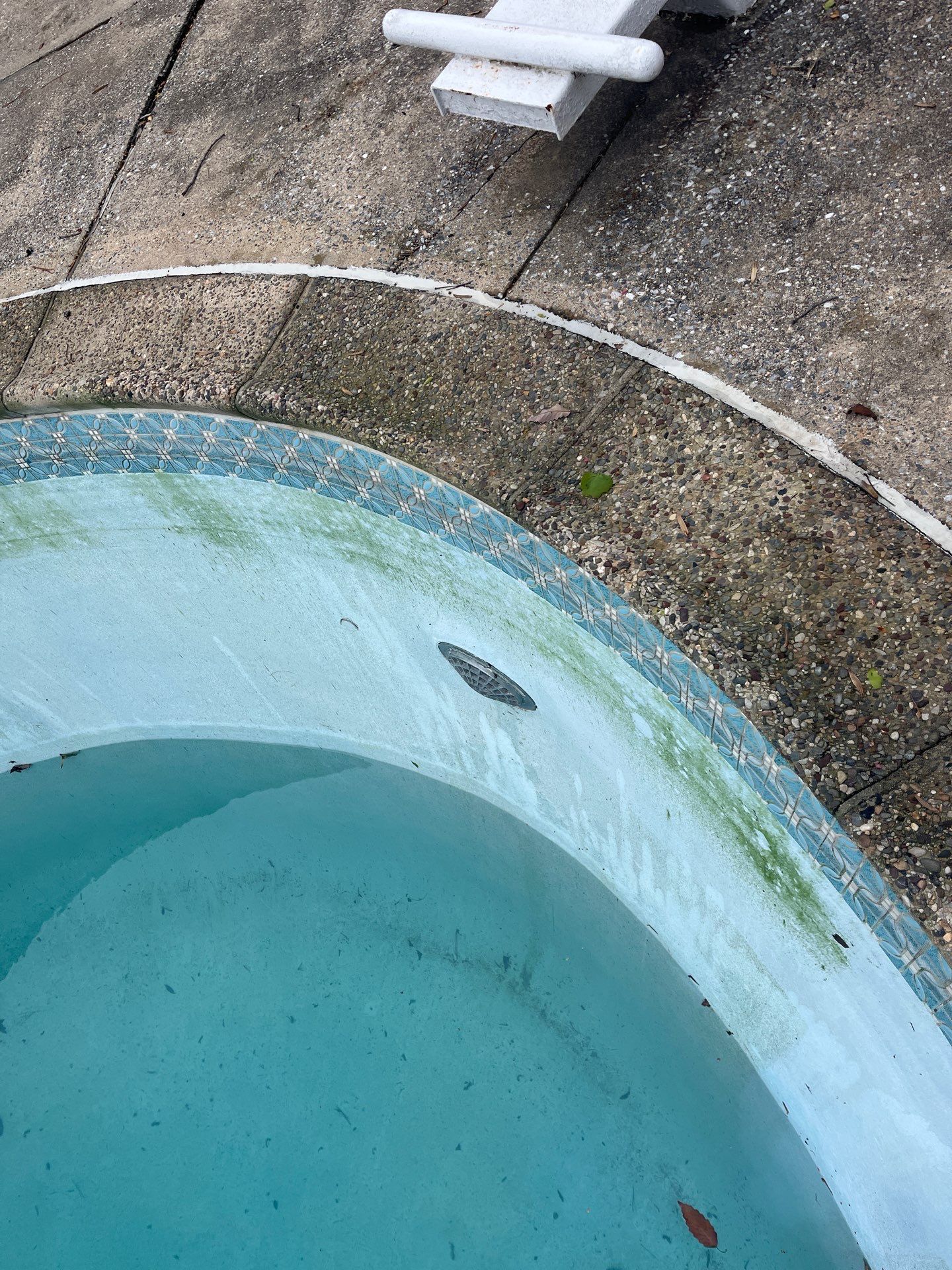 Tile/Coping/Plaster Renovation by Elysium Pools