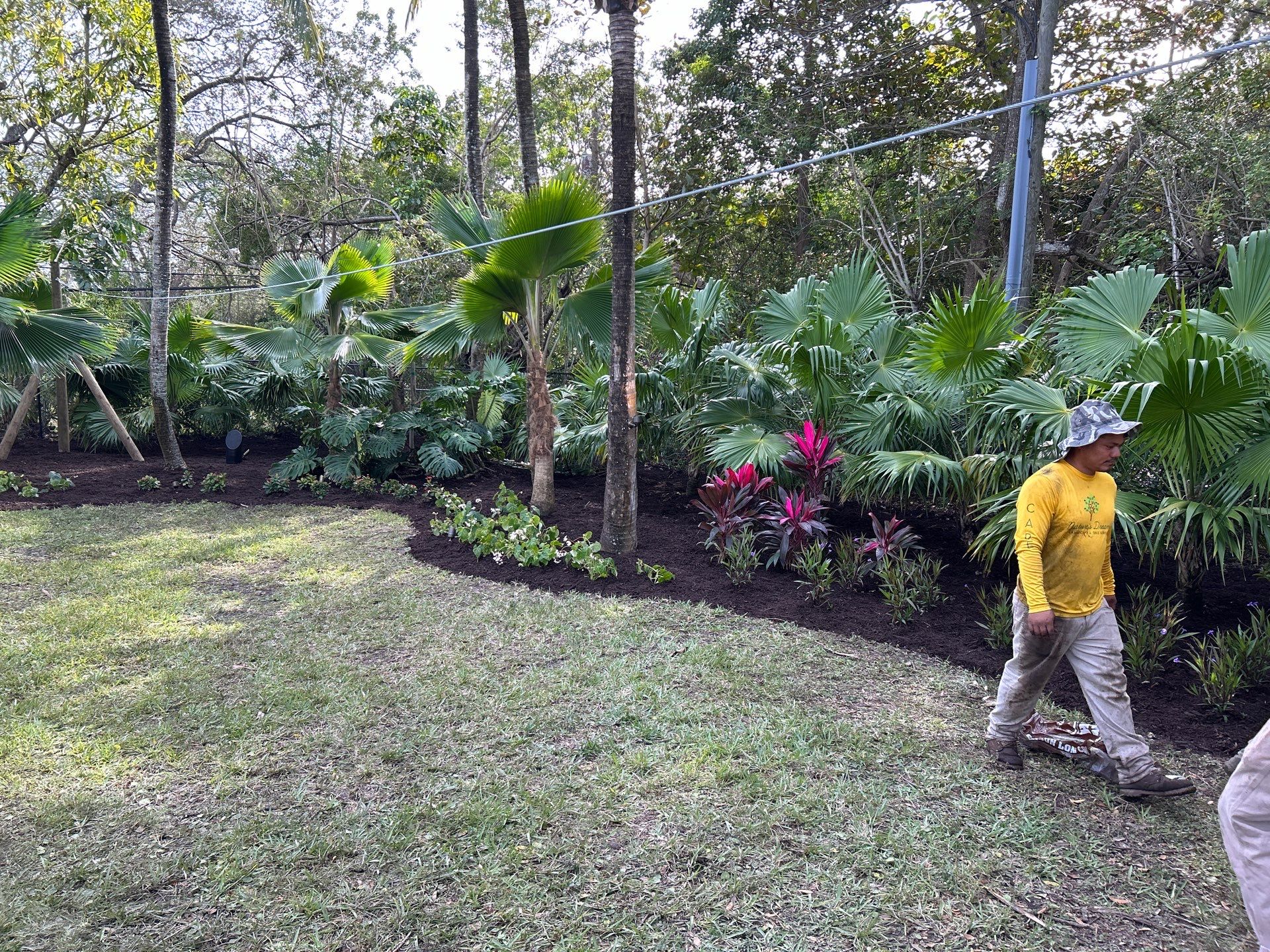 Landscape on New Home in Pinecrest, FL by Nature's Dream Landscape and Tree Service