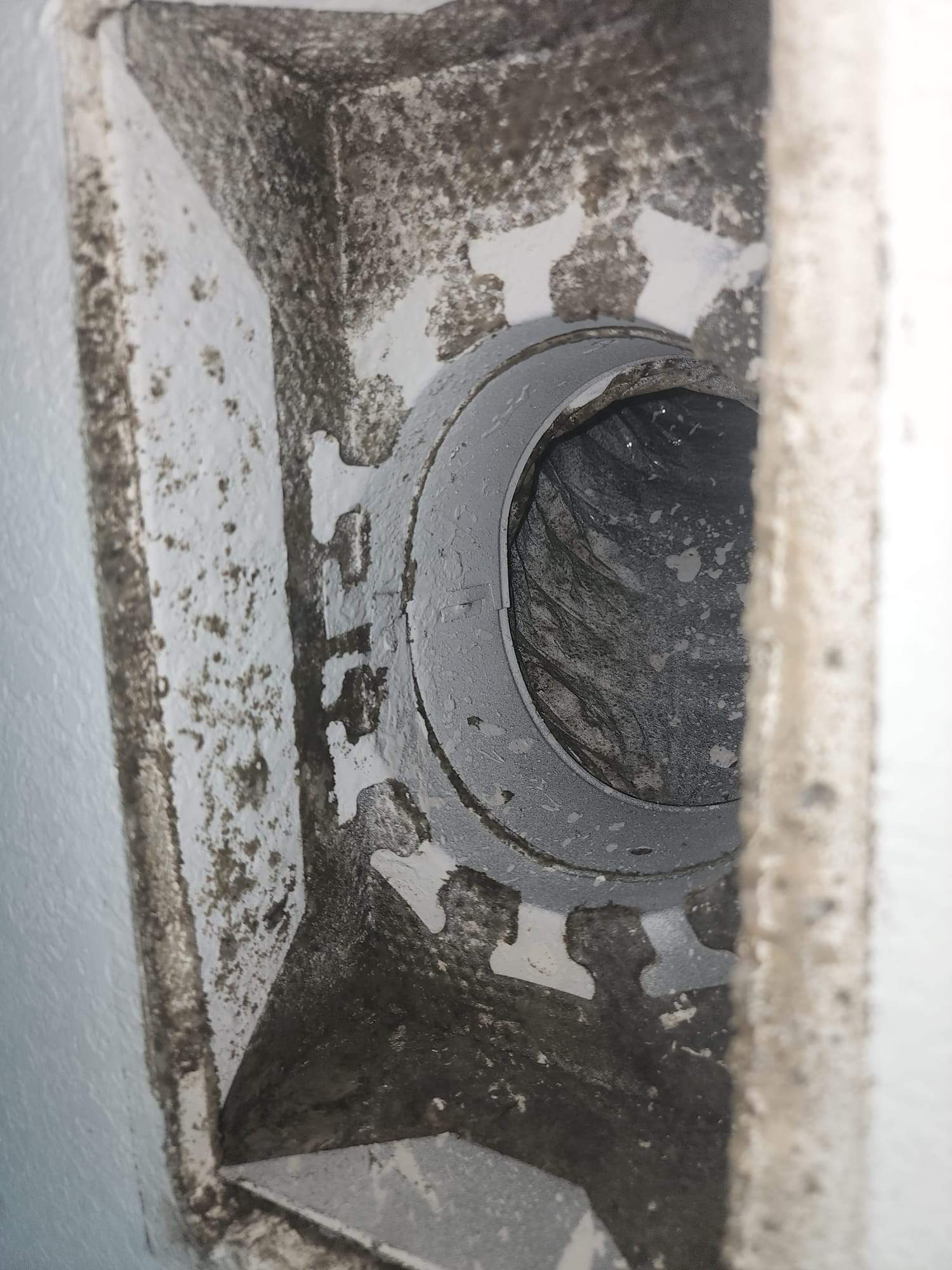 Parris AC Duct Cleaning by Ampm Restoration Services 