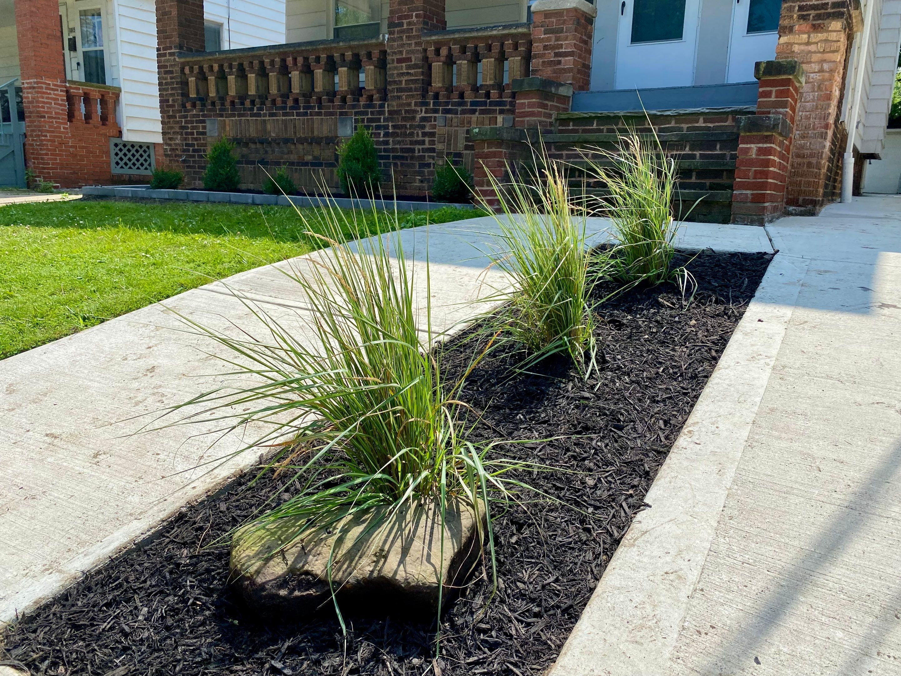 Rent Ready Install by Elm Rose Gardens