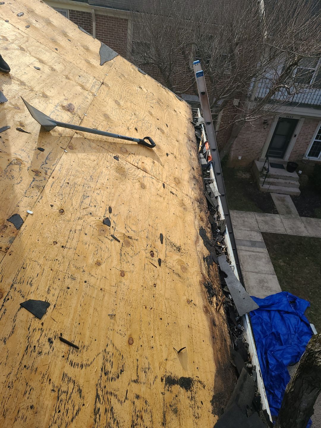 Burke CertainTeed Landmark Pro Roof in Max Def Espresso by RM Banning, Inc.