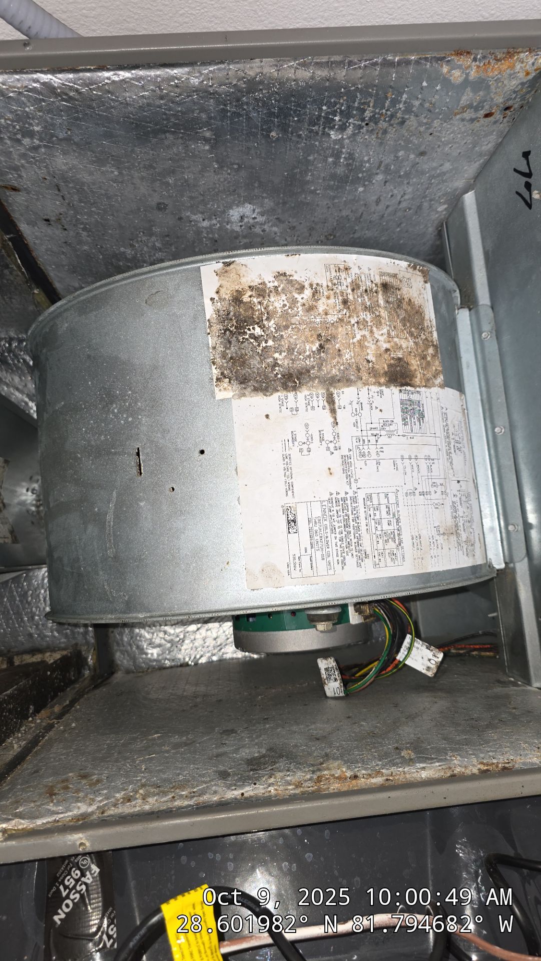 Air Duct and Dryer Vent Cleaning in Groveland by Hygienic Air, Inc