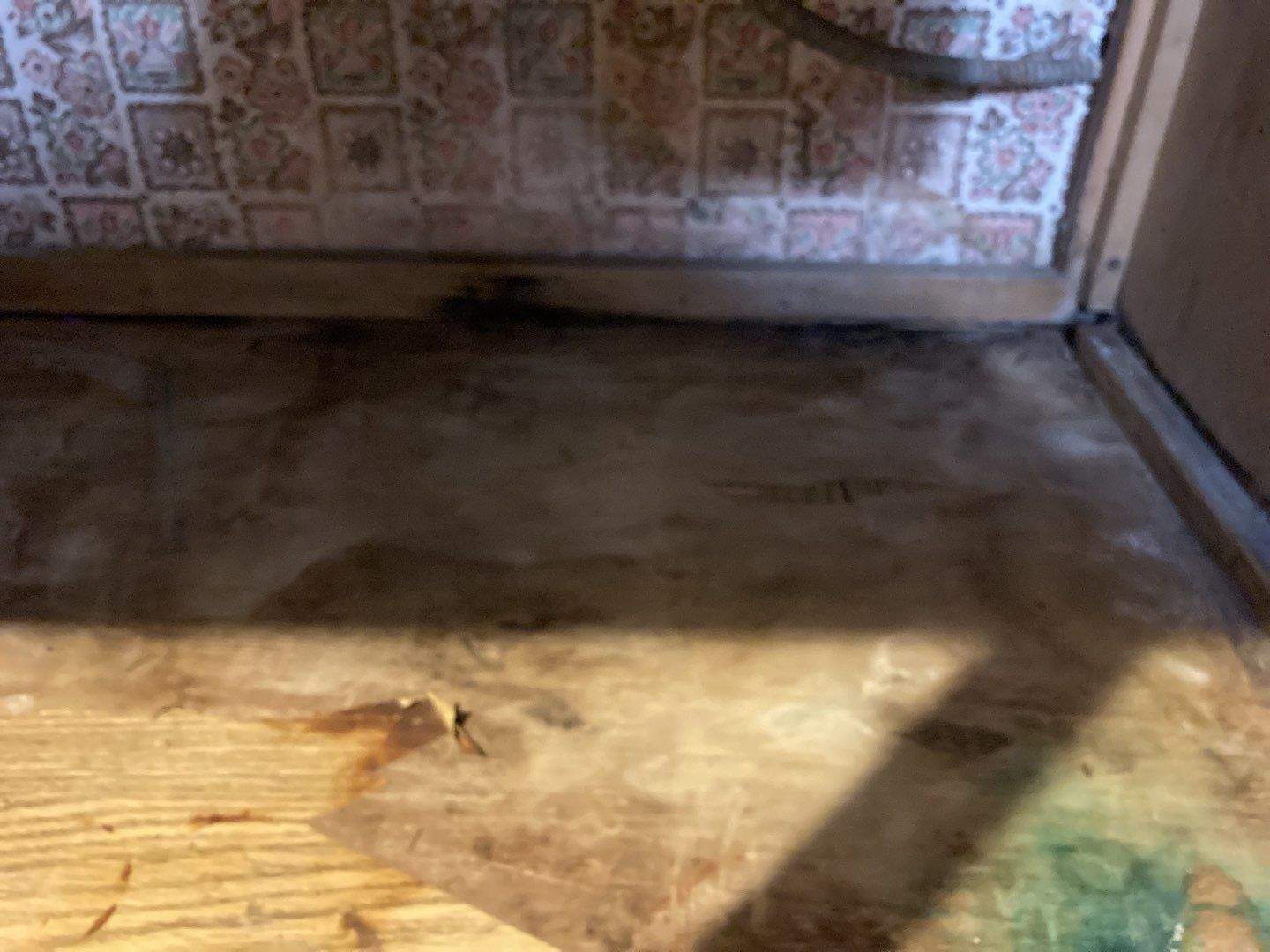 Mold Remediation in Basement by Accountable Home Services