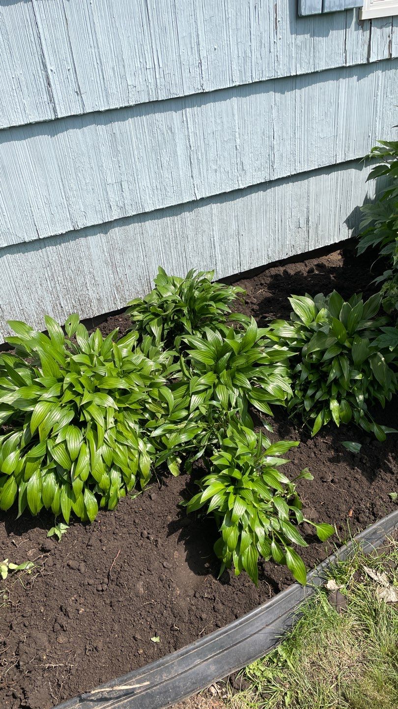 Sump Pump & Exterior Drainage in St. Paul, MN by Waterproofing Northeast