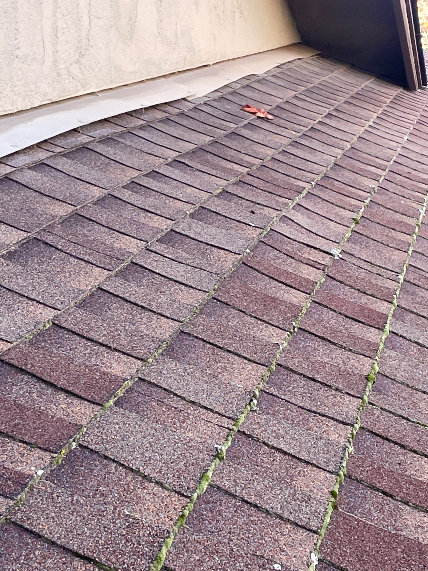 Roof Rejuvenation using Roof Maxx Treatment by Roof Maxx of Folsom