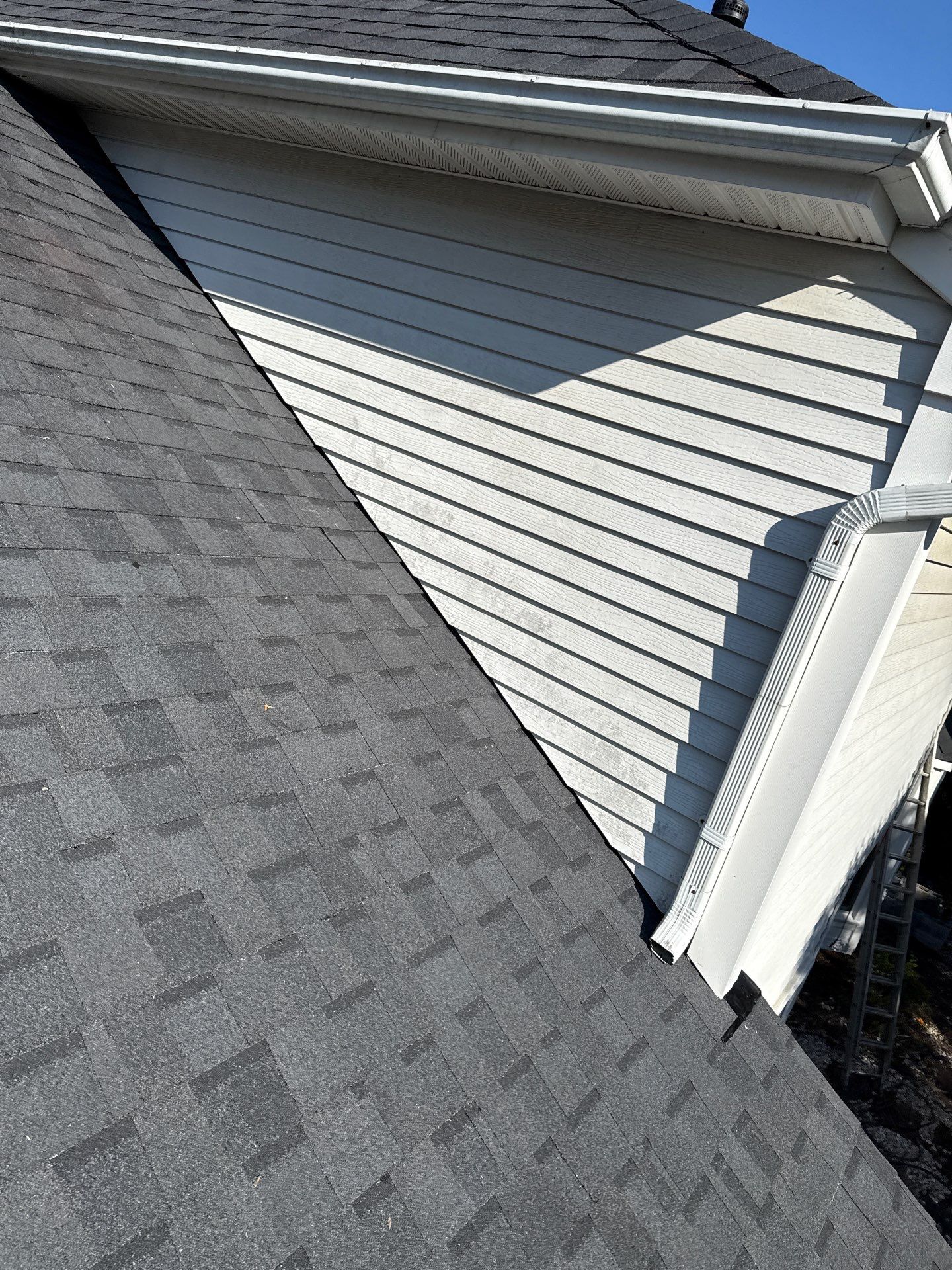 Gainesville: Residential Roof Replacement with CertainTeed Landmark in Moire Black  by RM Banning, Inc.