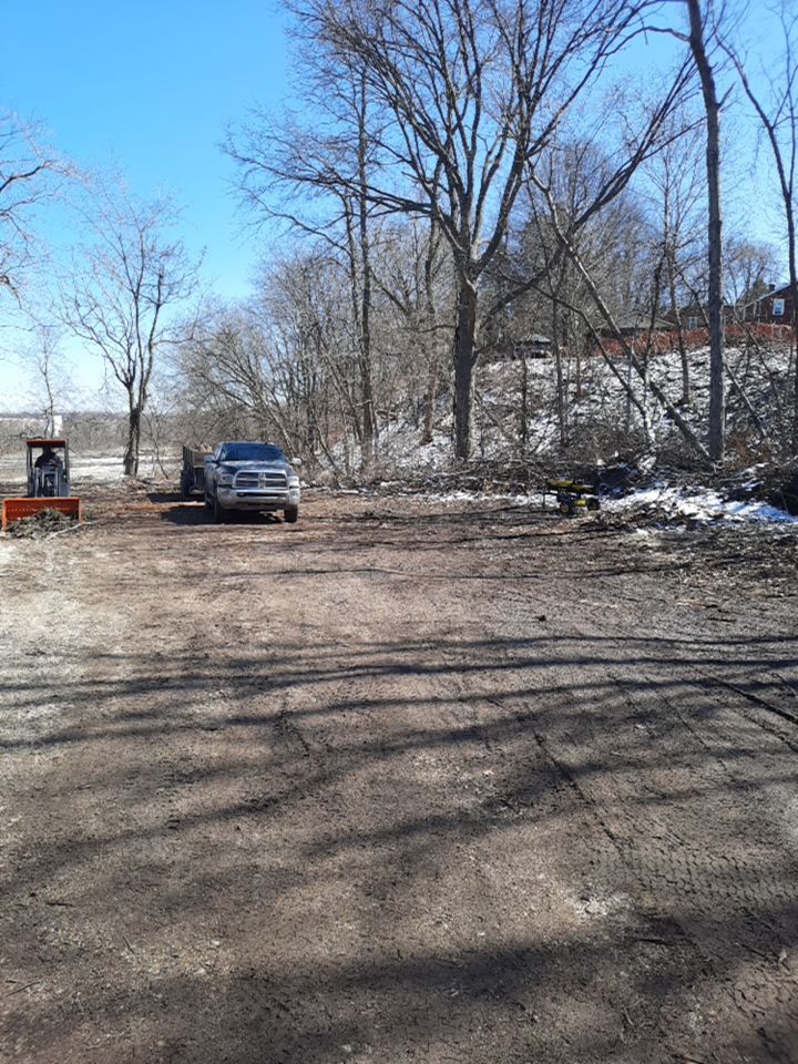 Tree Removal using Tree Removal by Mike Jones & Sons Tree Service LLC 