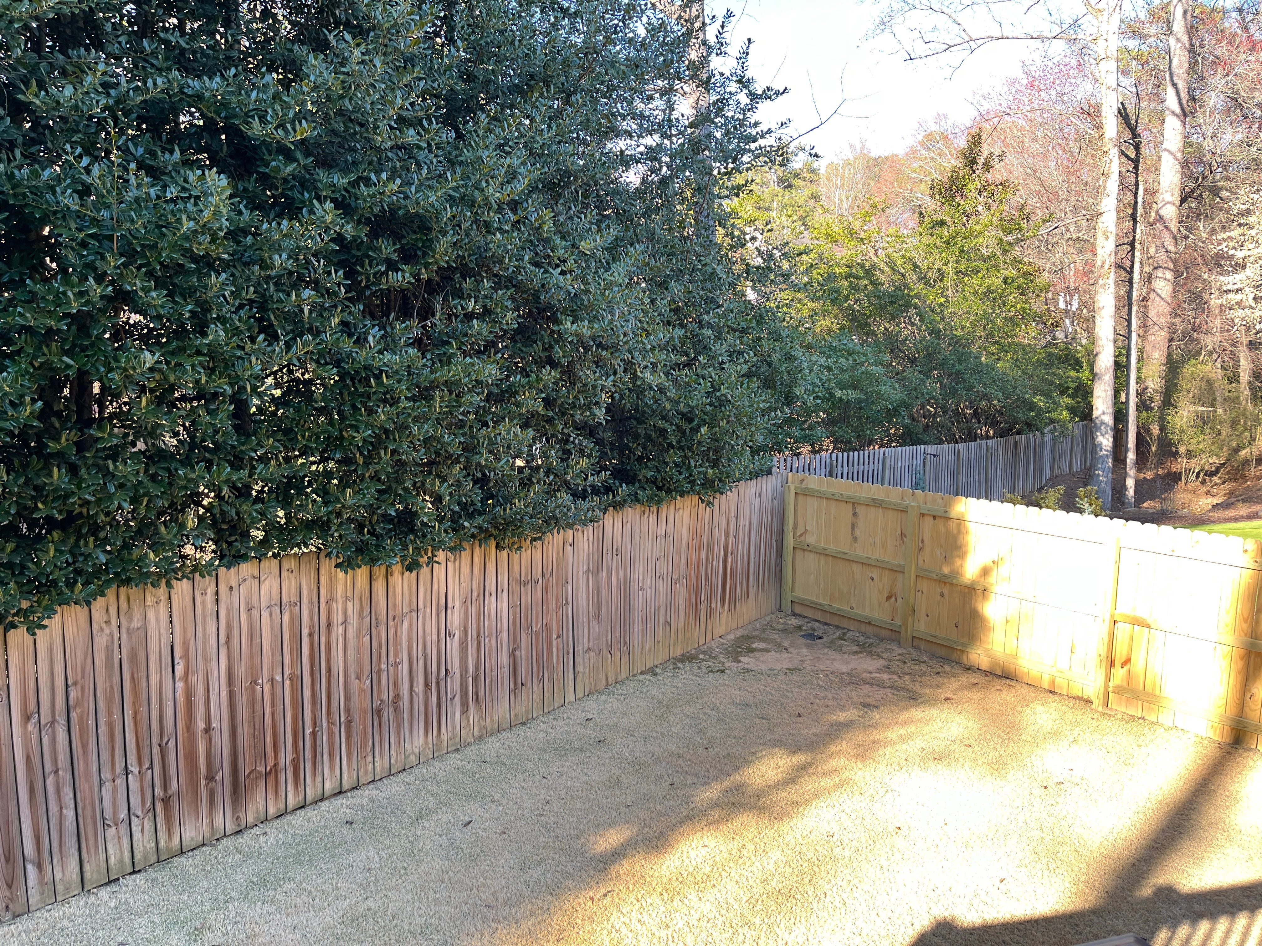 Deck and Fence Stain with Deck Board Repairs in Atlanta, GA by Nelson Exteriors 