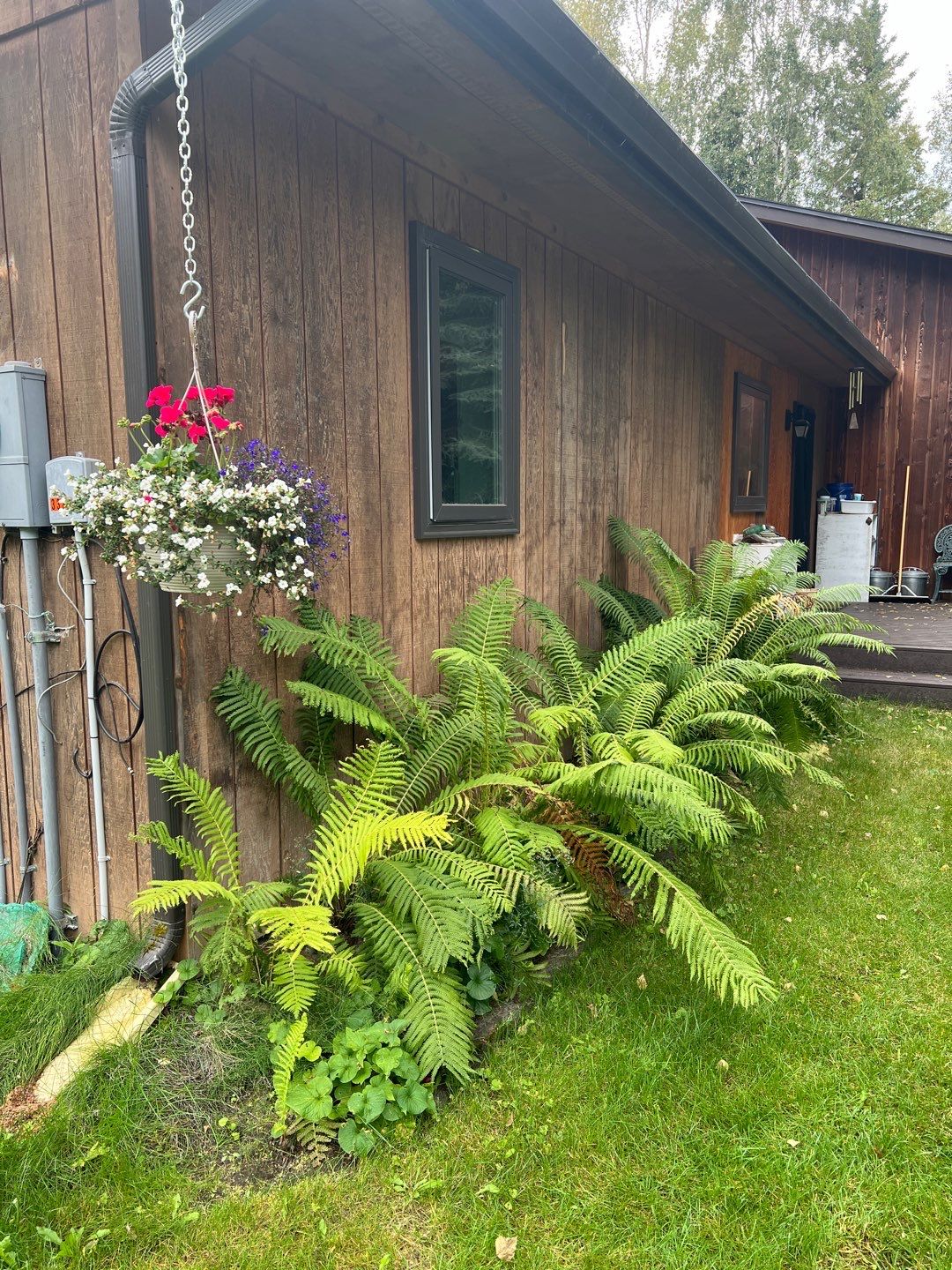 Beautiful Residential Home Repaint! by Midnight Sun Painting