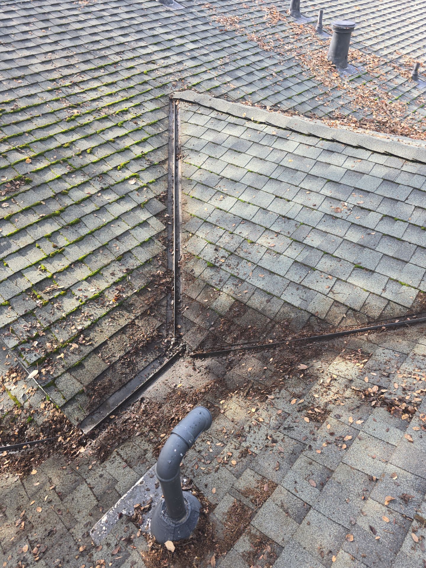 Roof Rejuvenation using Roof Maxx Treatment by Roof Maxx of Folsom