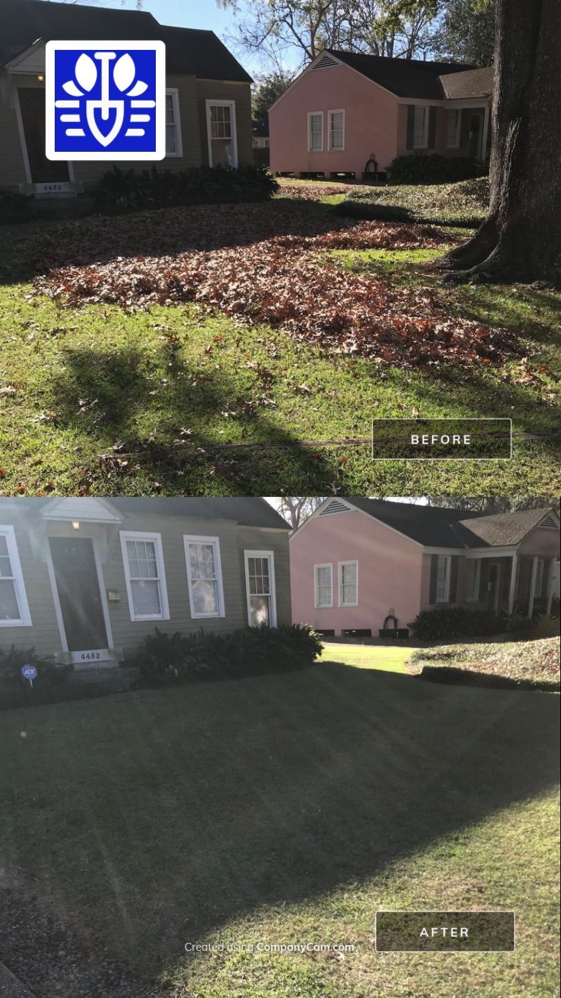 WINTER SERVICES: FULL LEAF JOB by CutScape, LLC.