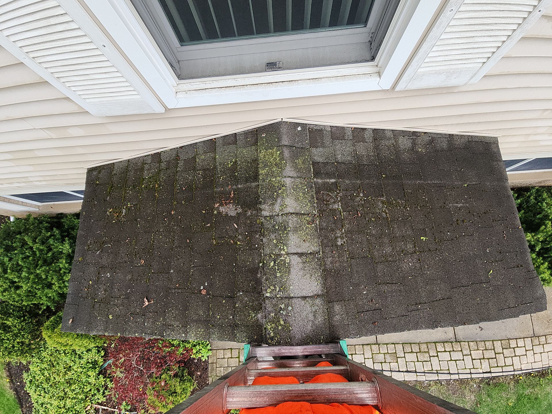 roof washing using Algaecide, soft wash soap by Northern Power Washing LLC.
