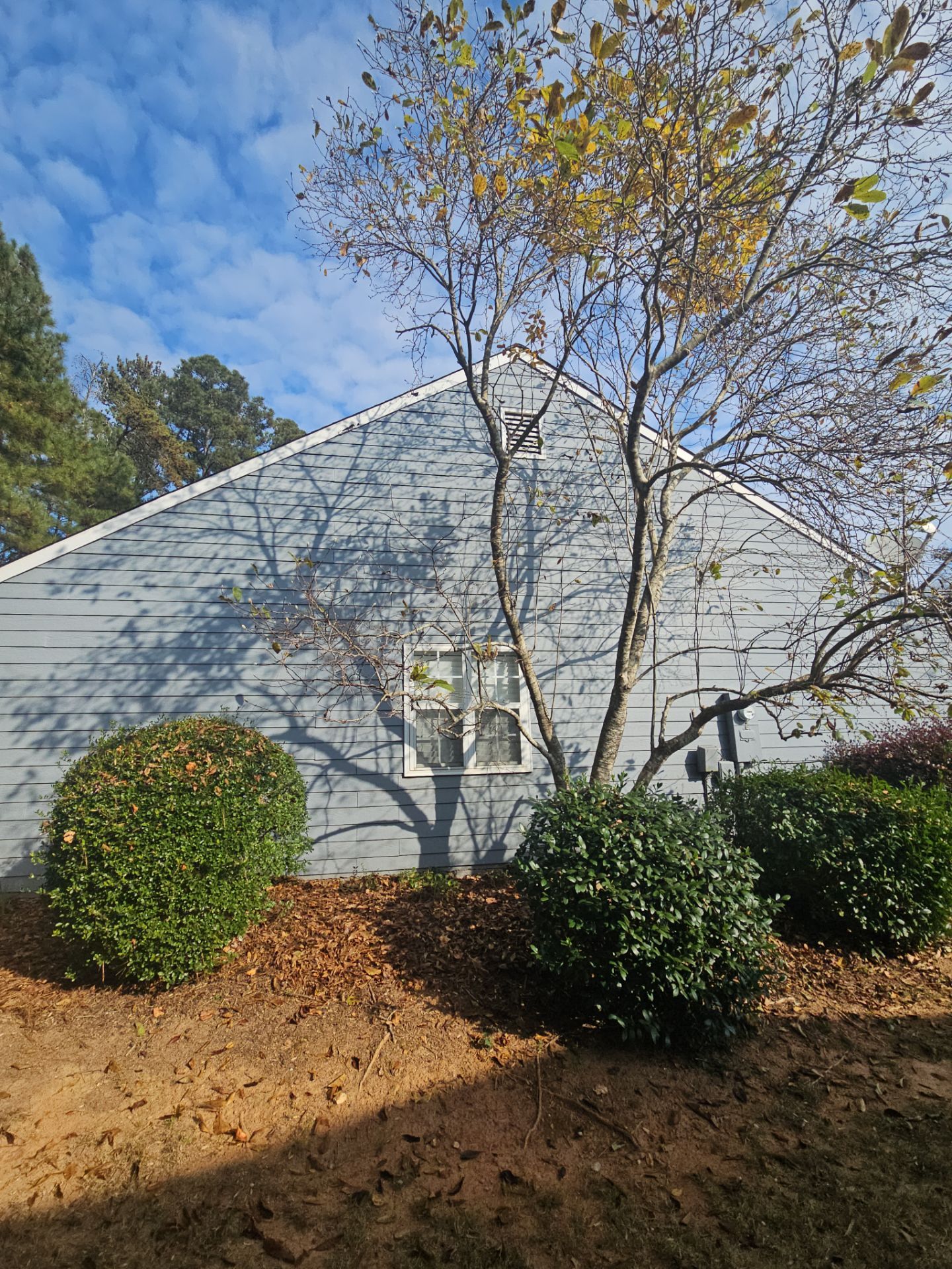Rotten Wood Replacement using Hardie Trim by Nelson Exteriors 
