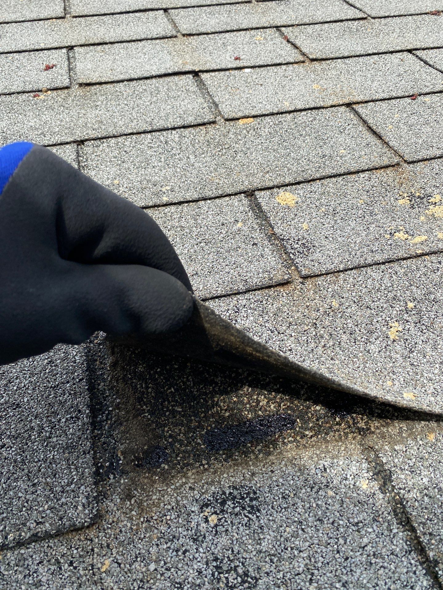 Roofing | Maynard by Mighty Dog Roofing of Greater Middlesex County